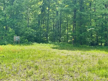 Property at 98 Wooliver Road, Orwell, NY 13144