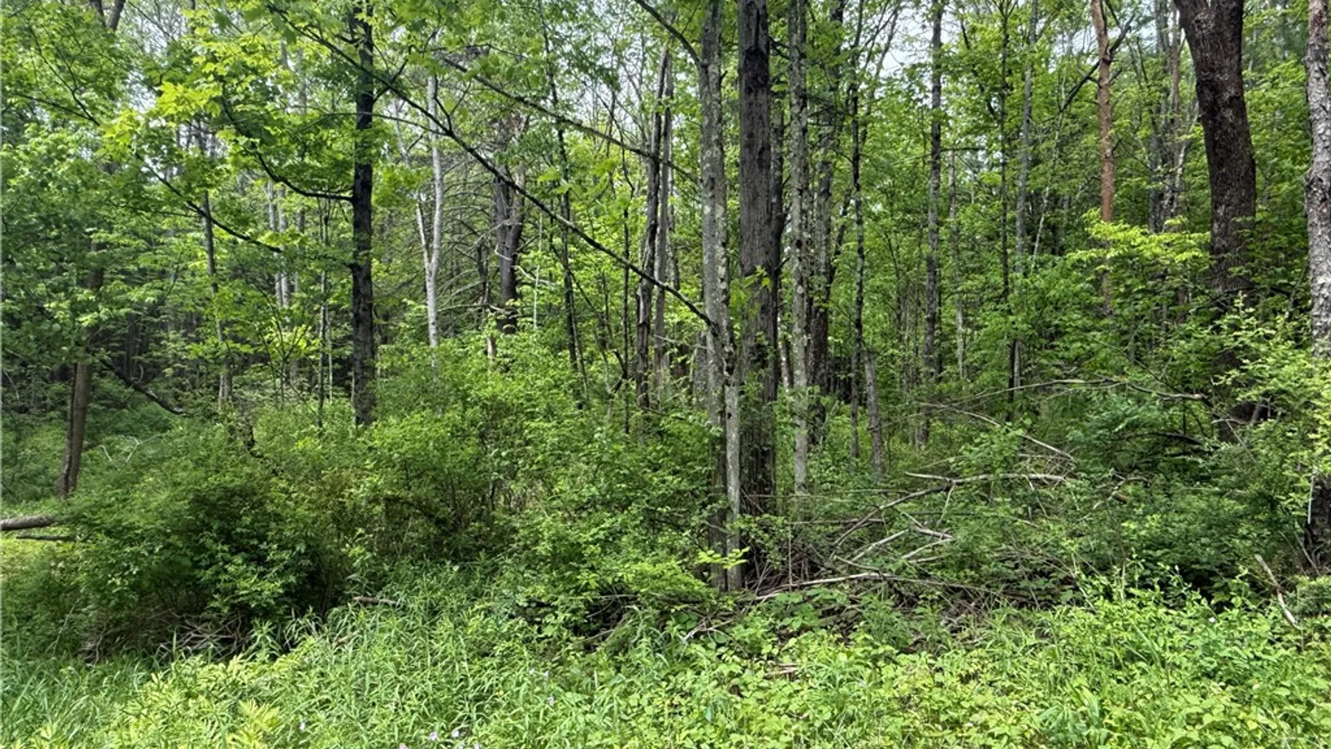 Property at 00 Straw Hill Road, Barton, NY 13734 2