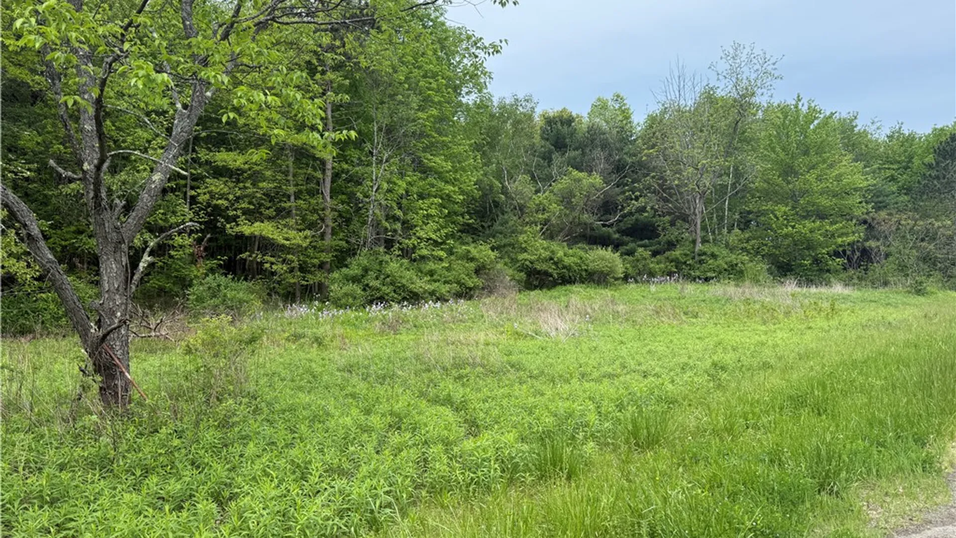 Property at 00 Straw Hill Road, Barton, NY 13734 4