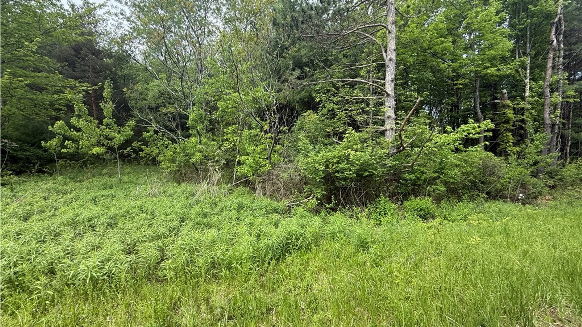 Property at 00 Straw Hill Road, Barton, NY 13734 5