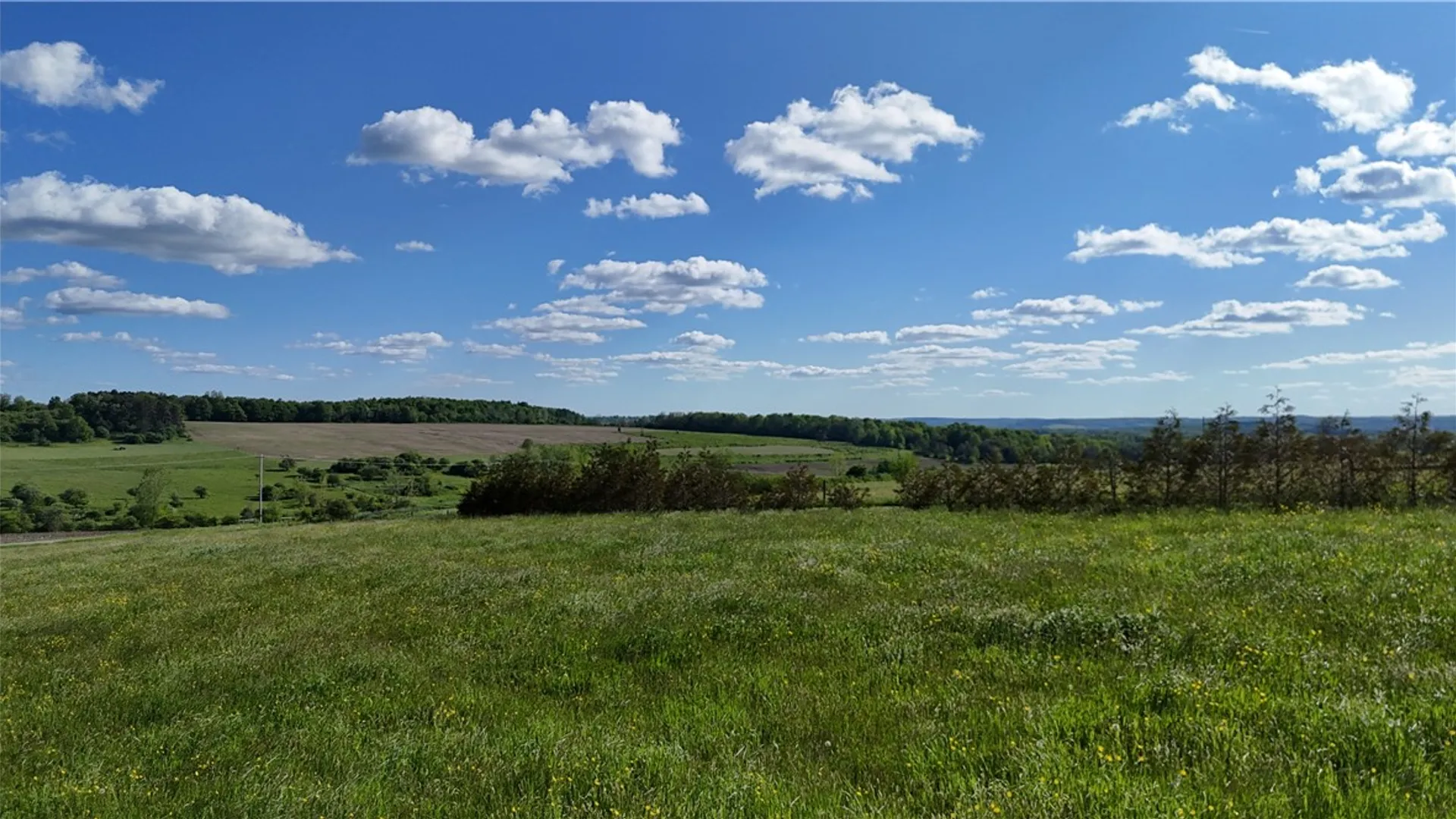 Property at Edmunds Road, Freedom, NY 14065 5