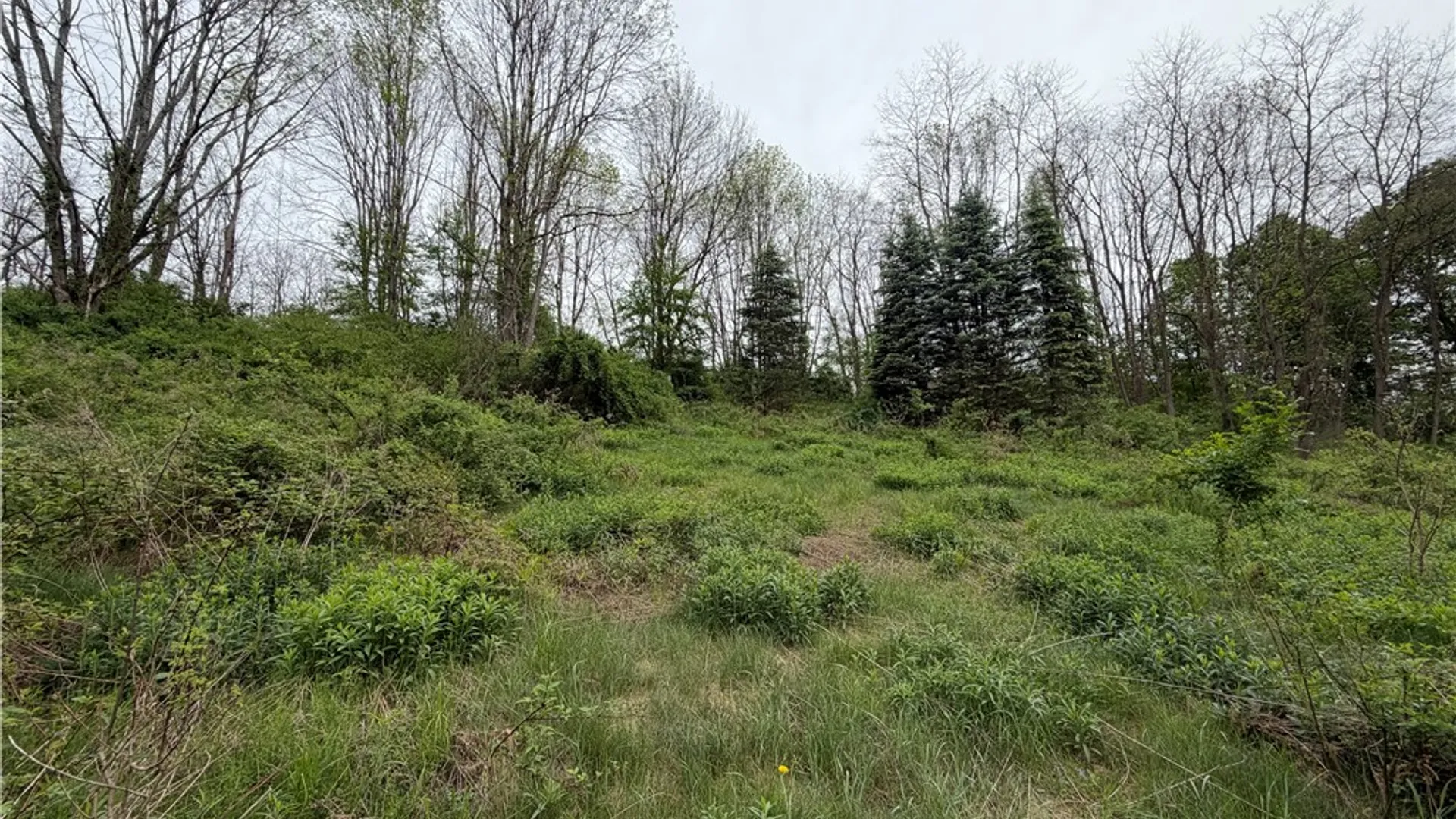 Property at 473 County Highway 48, Otego, NY 13820 45