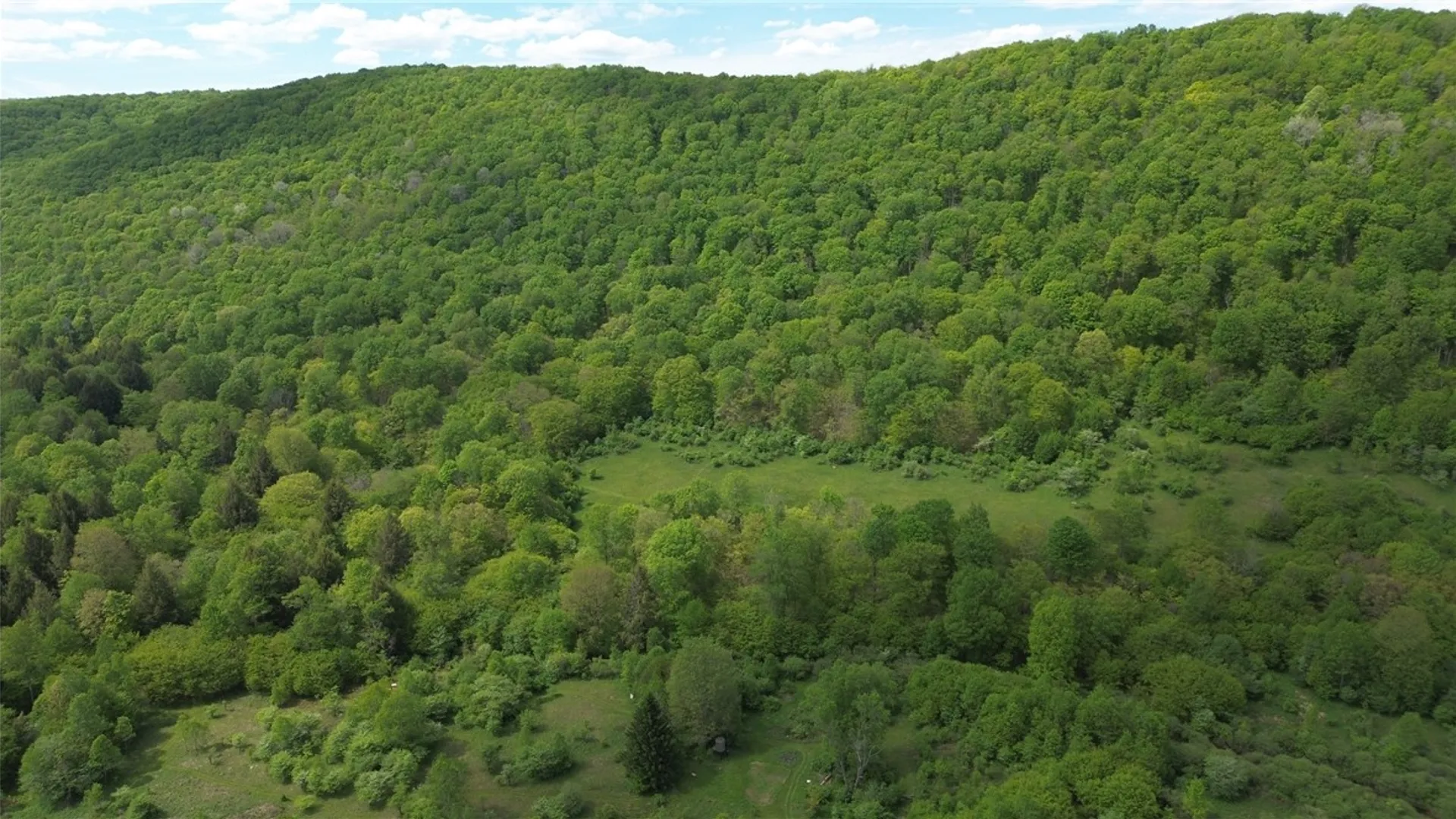 Property at 374 Brewer Run Road, Norwich, PA 16749 7