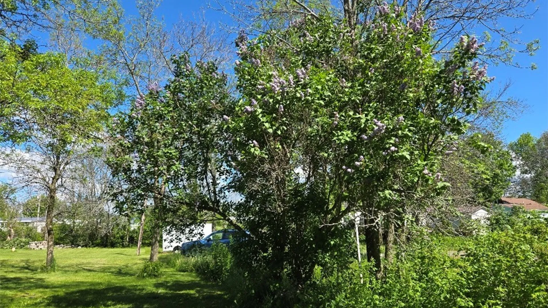 Property at 34699 Bubba Lane, Cape Vincent, NY 13618 13