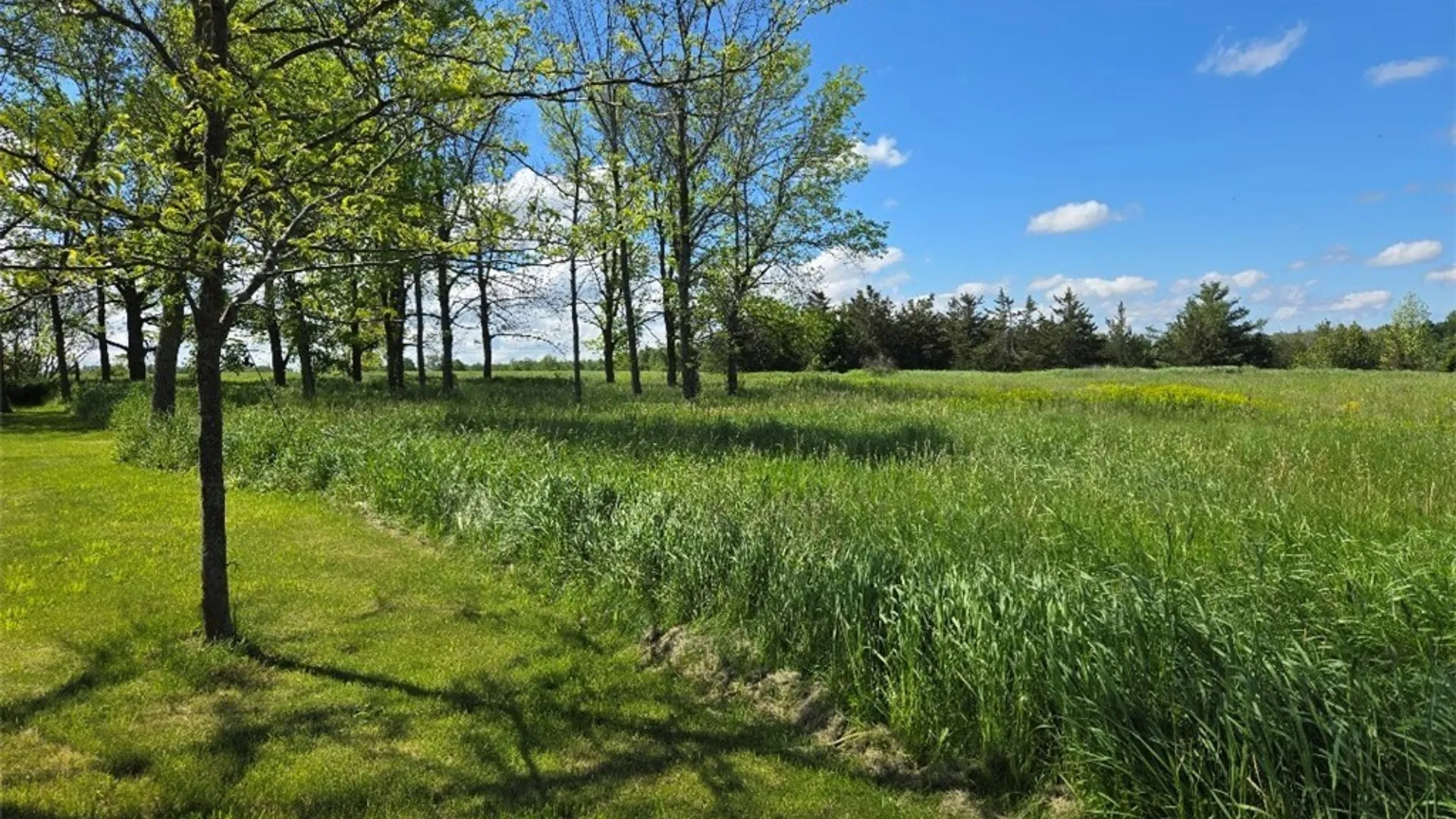 Property at 34699 Bubba Lane, Cape Vincent, NY 13618 5