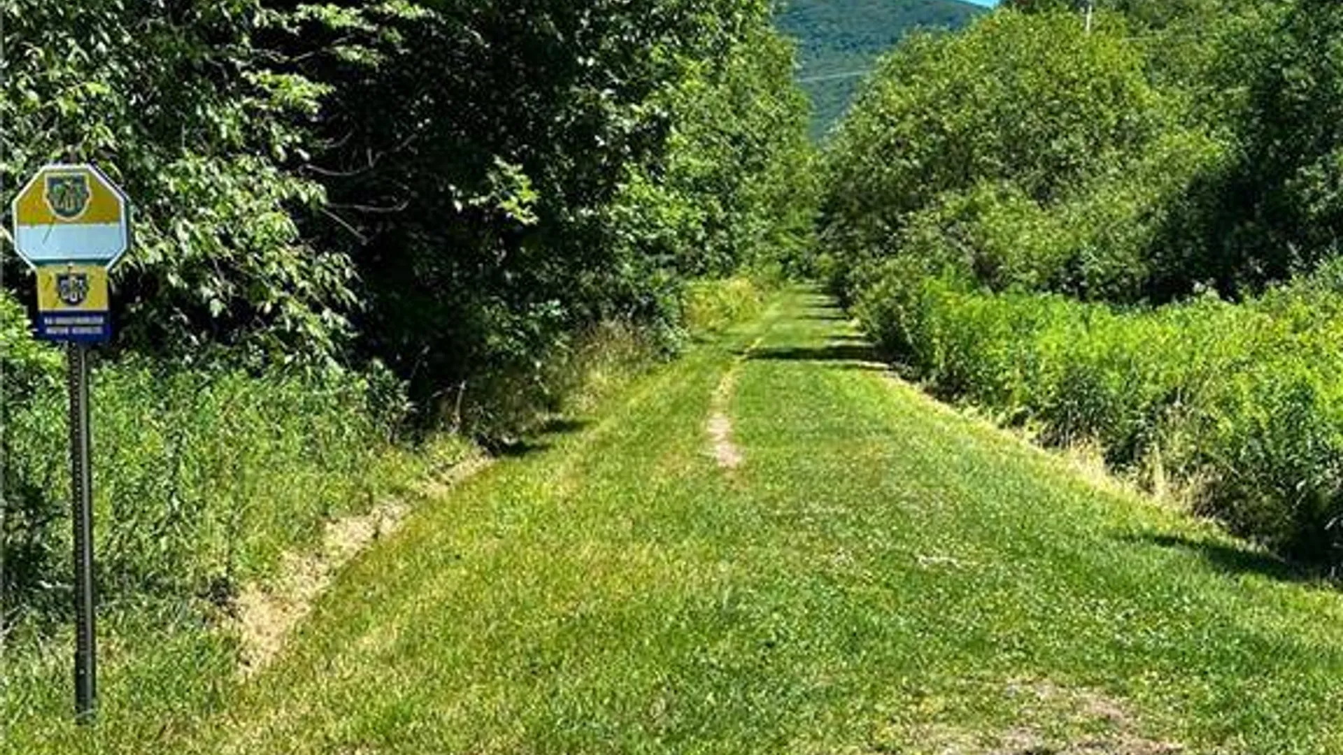 Property at 263 Schuman Rd, Roxbury, NY 12474 2