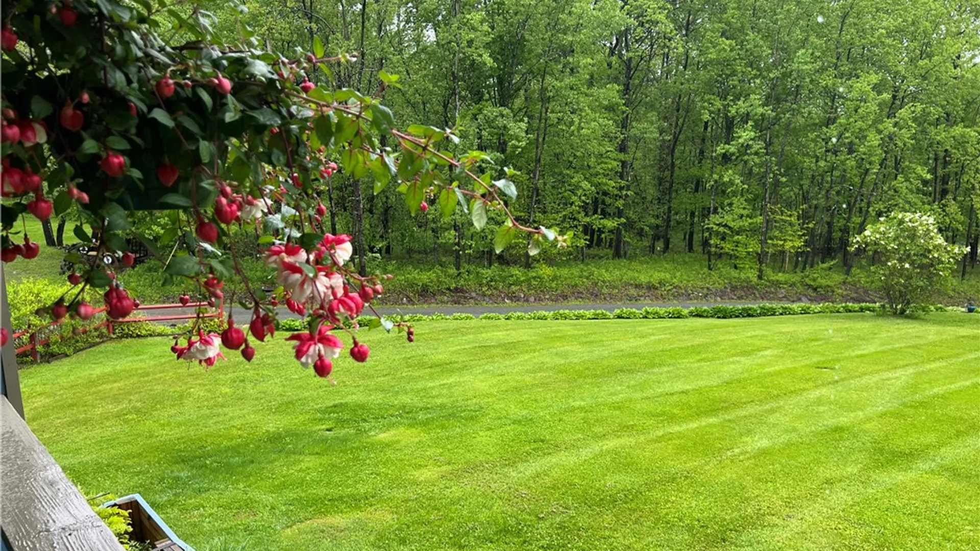 Property at 3259 Freer Hollow Road, Franklin, NY 13856 47