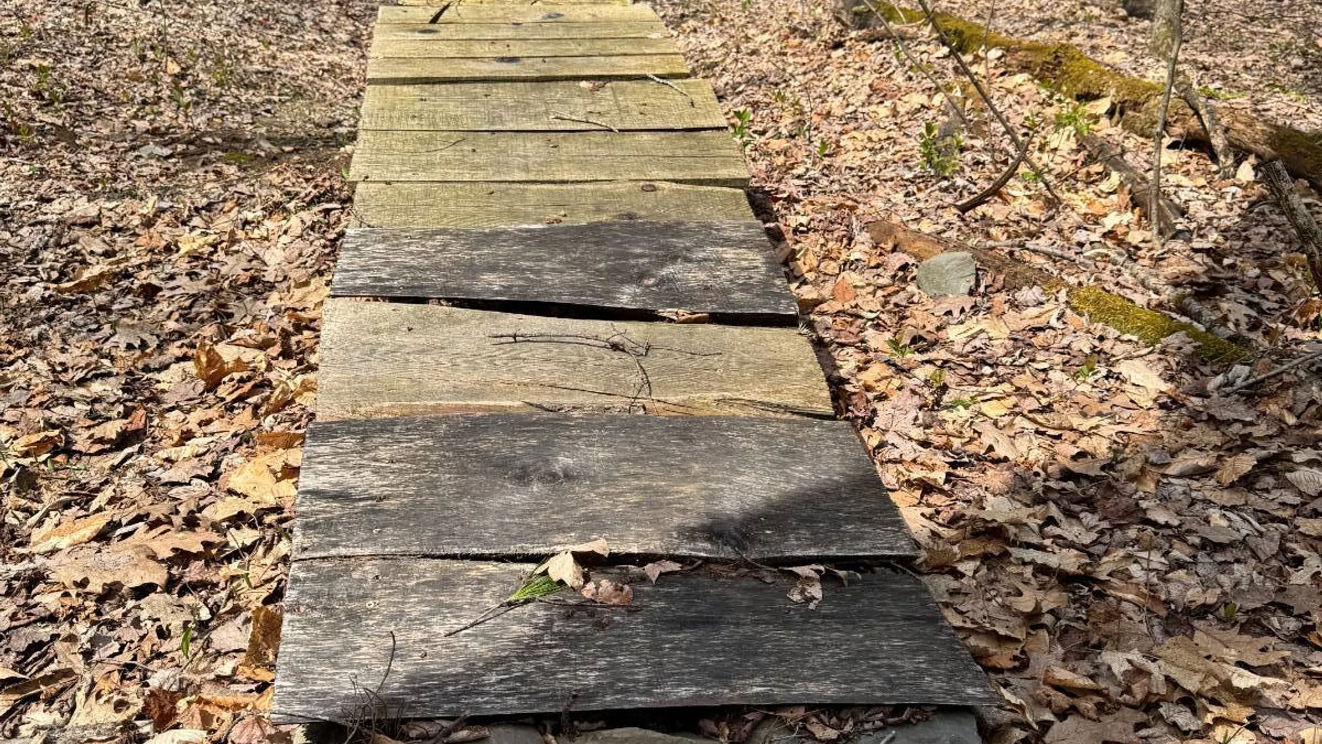 Property at 0 Cook Rd, Cooperstown, NY 13326 16