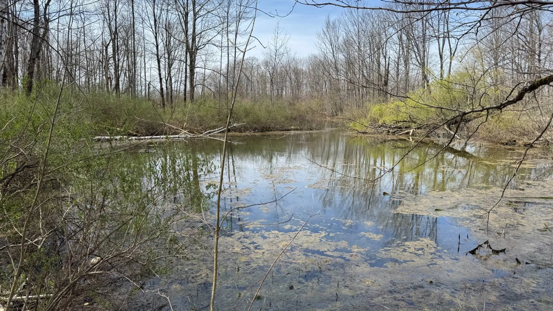 Property at 0 Cook Rd, Cooperstown, NY 13326 18