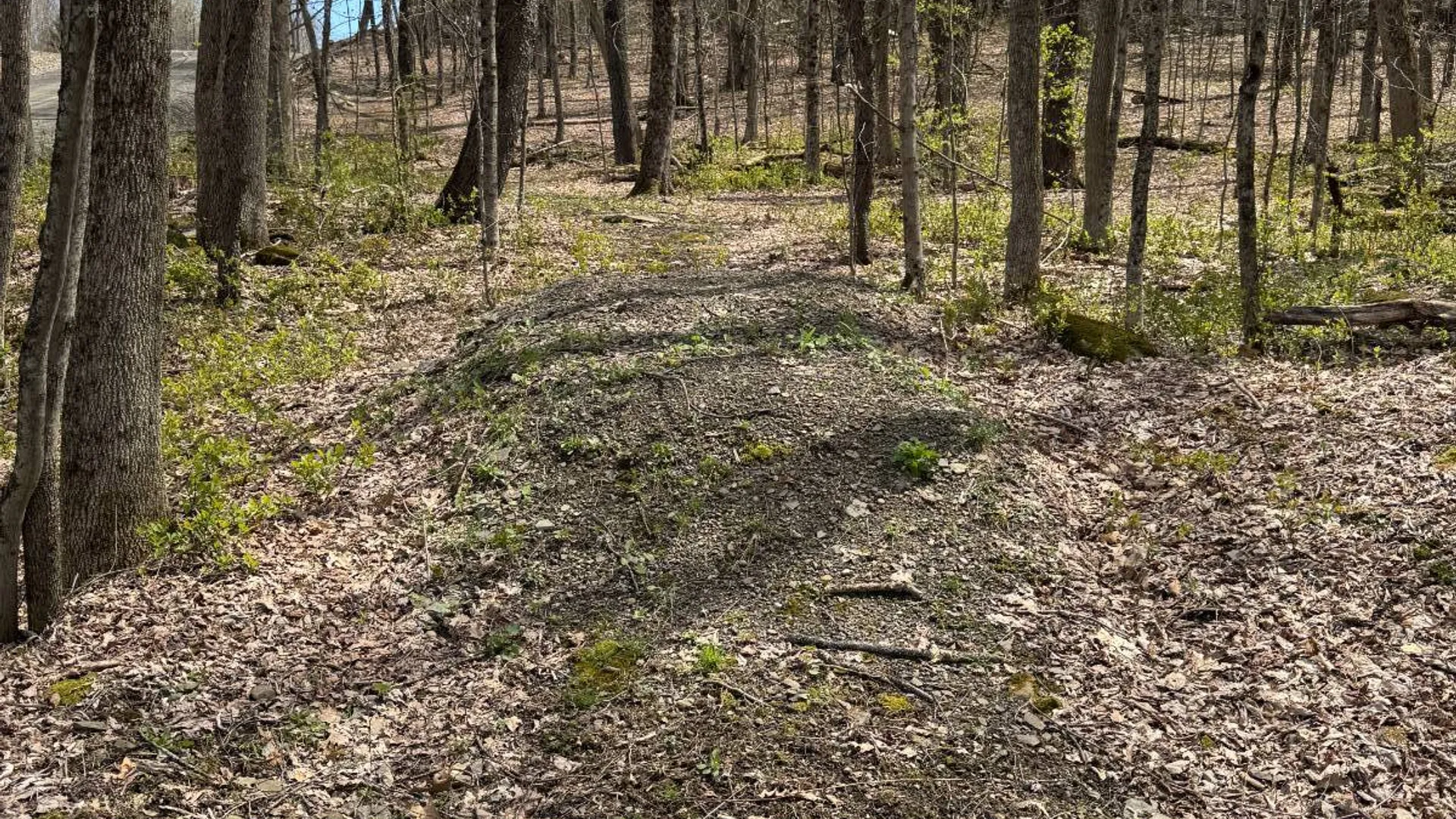 Property at 0 Cook Rd, Cooperstown, NY 13326 19