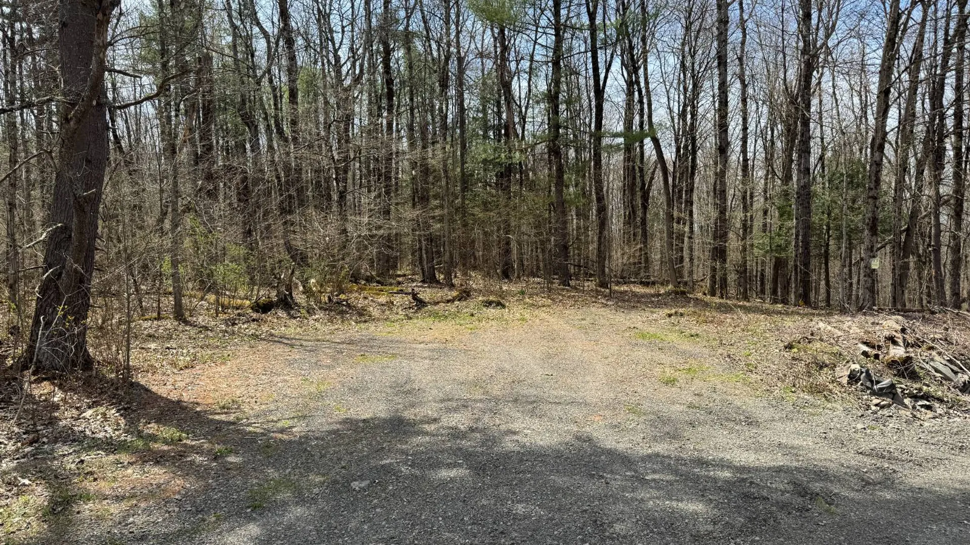 Property at 0 Cook Rd, Cooperstown, NY 13326 22