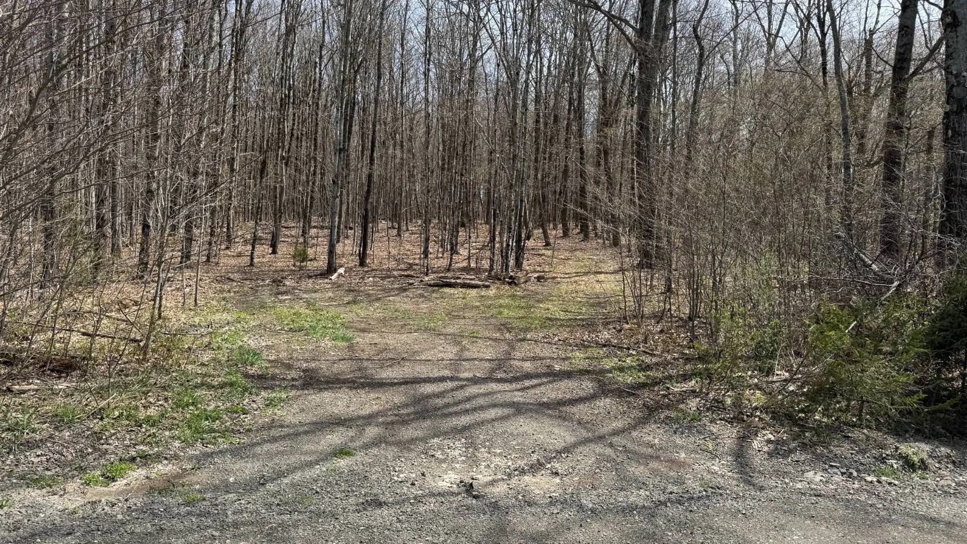 Property at 0 Cook Rd, Cooperstown, NY 13326 24