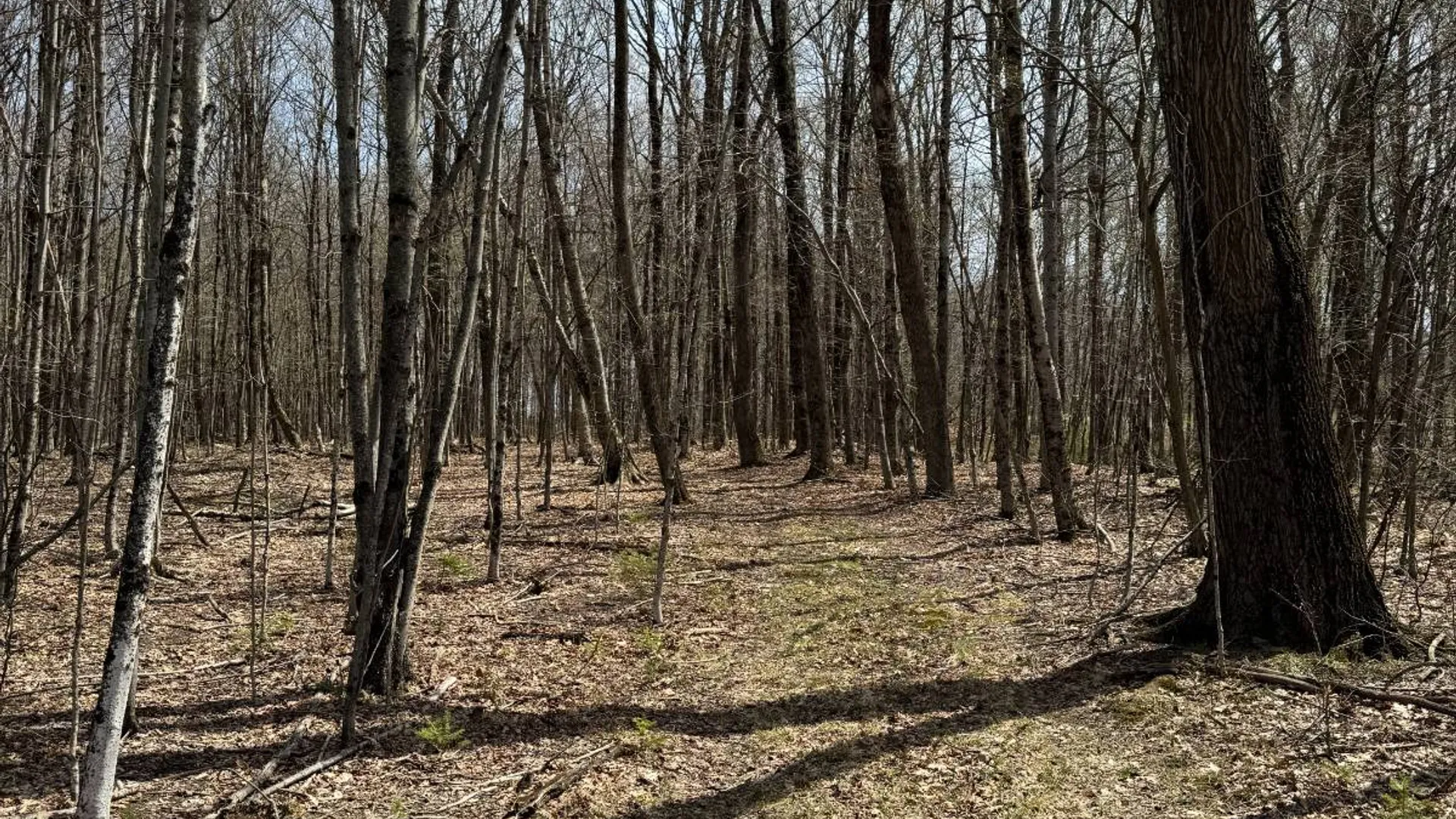 Property at 0 Cook Rd, Cooperstown, NY 13326 25