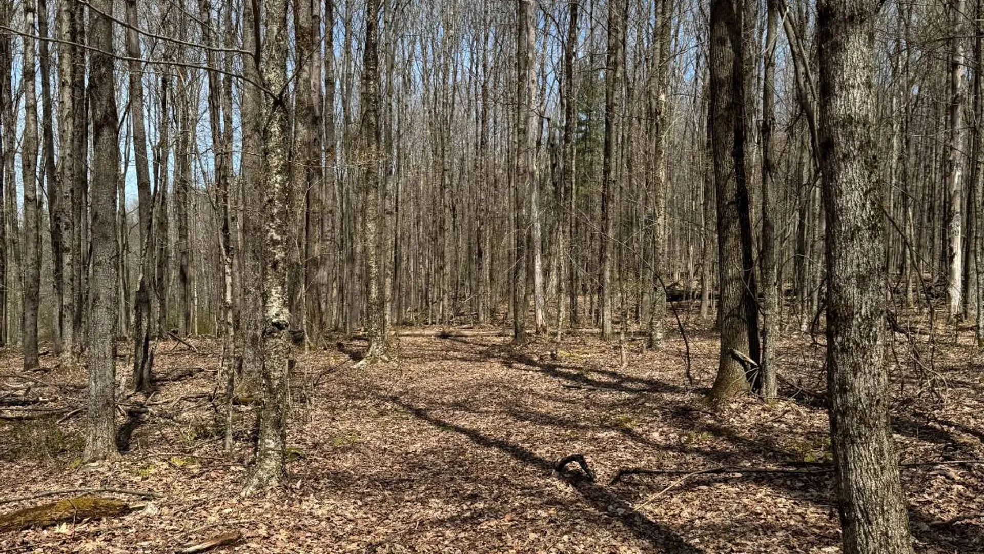 Property at 0 Cook Rd, Cooperstown, NY 13326 28