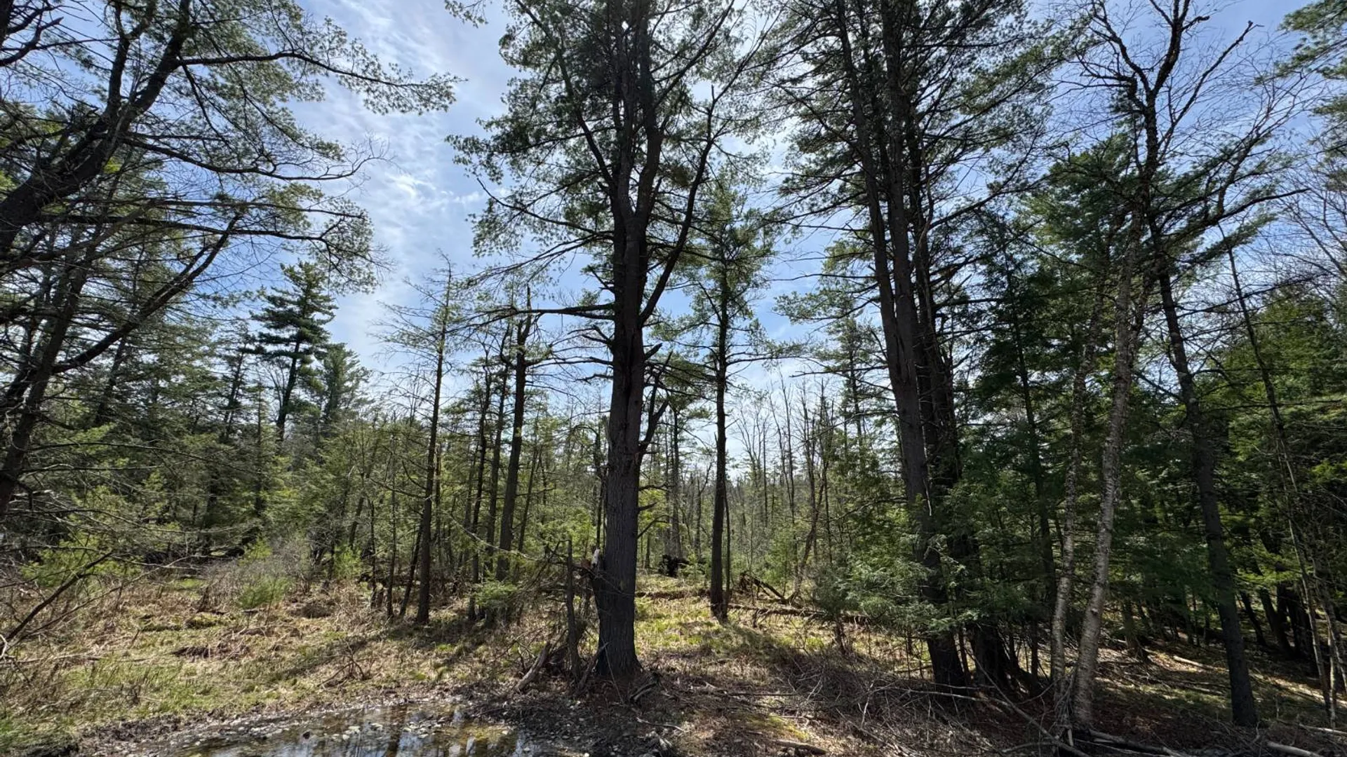 Property at 0 Cook Rd, Cooperstown, NY 13326 32