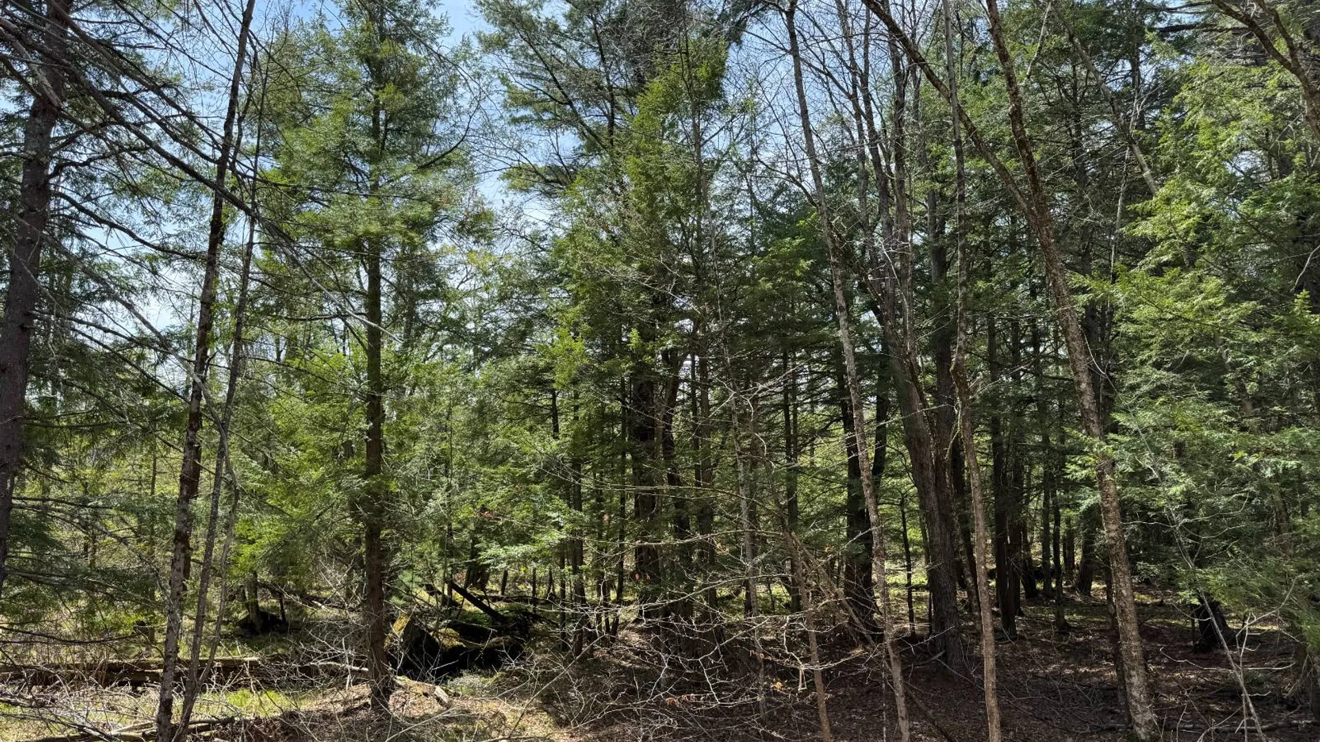 Property at 0 Cook Rd, Cooperstown, NY 13326 33