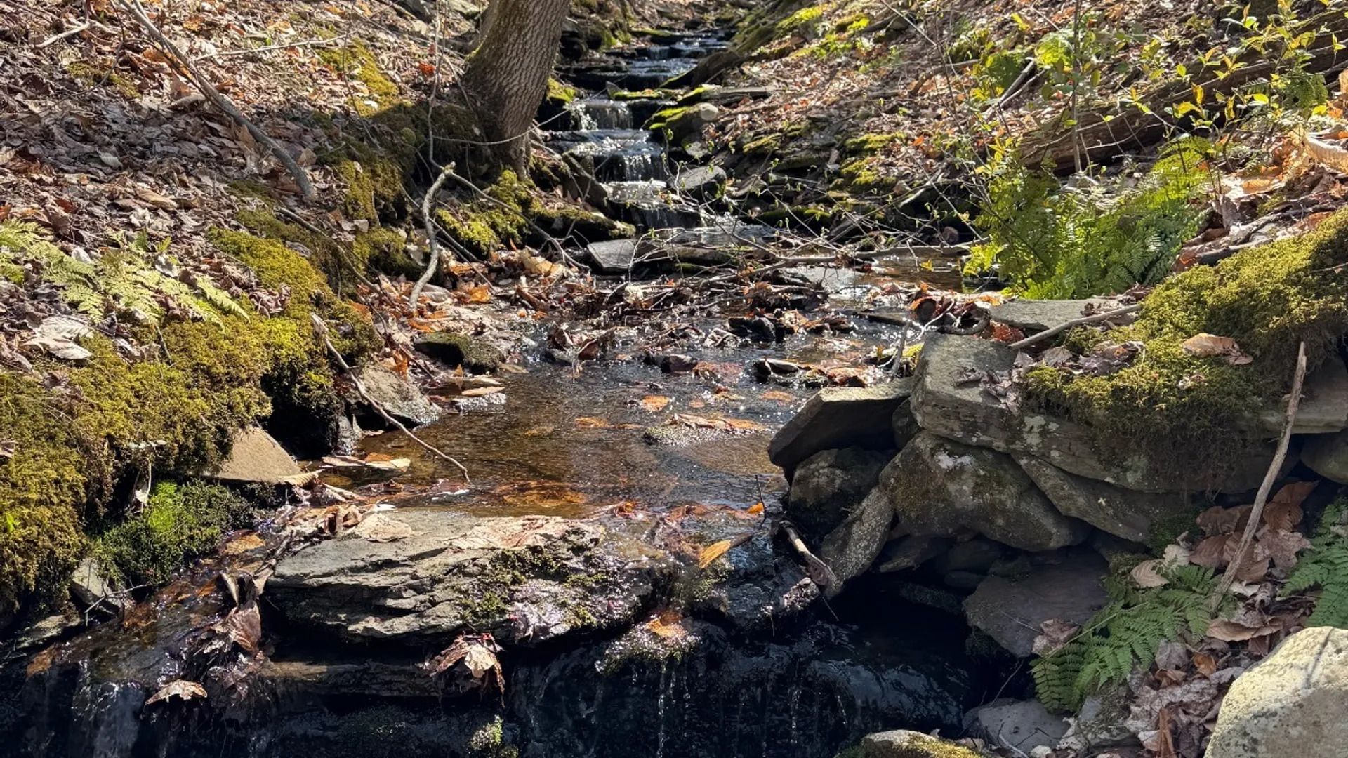 Property at 0 Cook Rd, Cooperstown, NY 13326 6