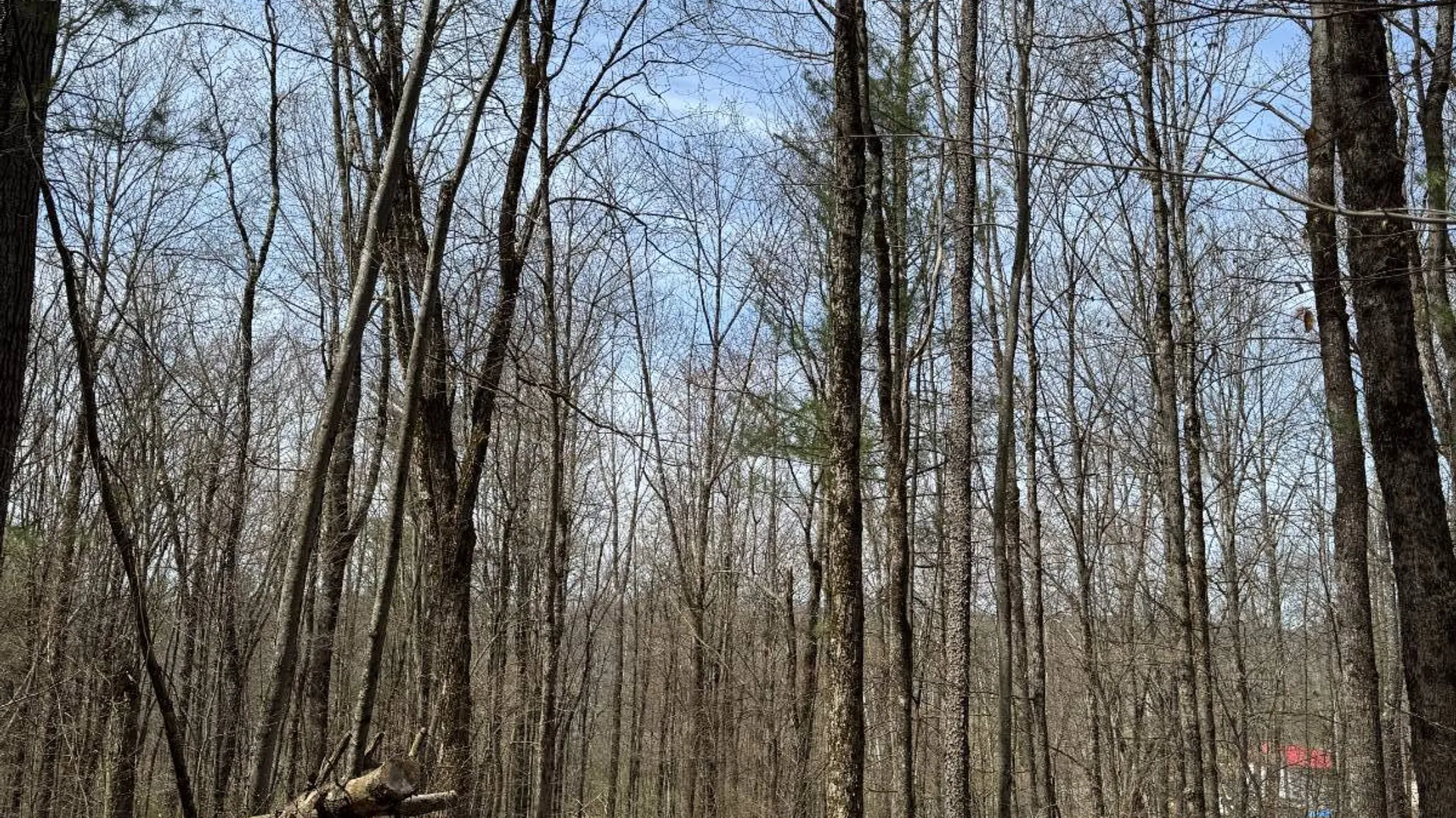 Property at 0 Cook Rd, Cooperstown, NY 13326 8