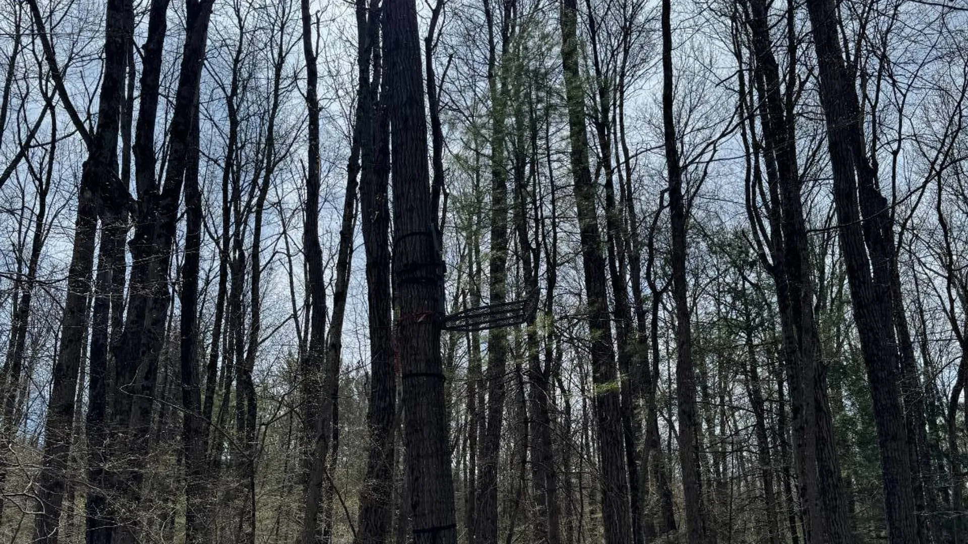 Property at 0 Cook Rd, Cooperstown, NY 13326 9