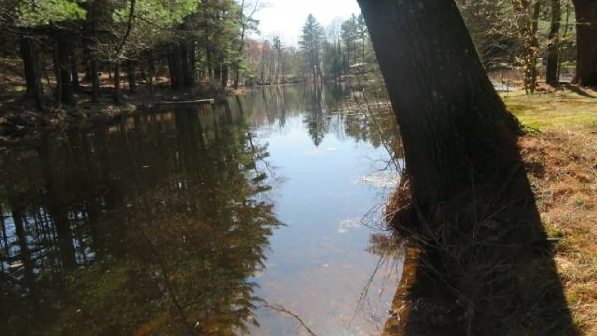 Property at 7678 N Shore Rd, Glenfield, NY 13343 14