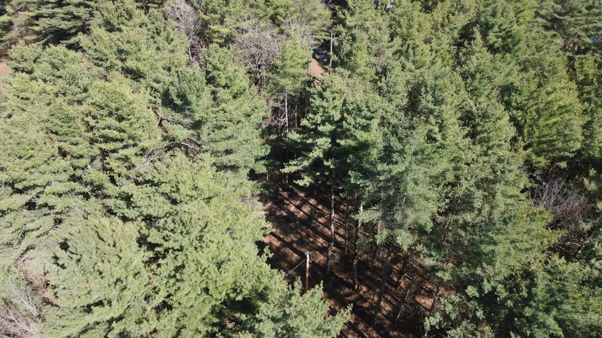 Property at 7678 N Shore Rd, Glenfield, NY 13343 34