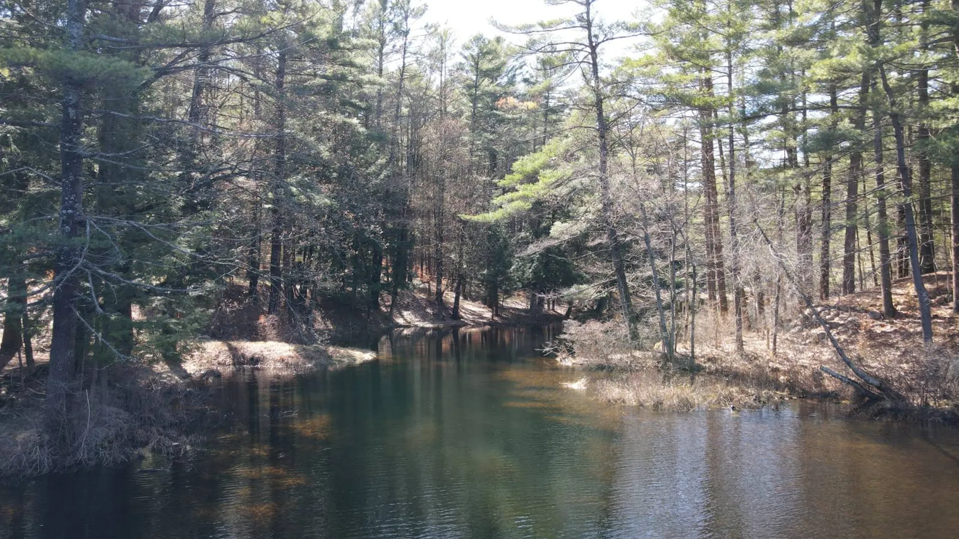 Property at 7678 N Shore Rd, Glenfield, NY 13343 4