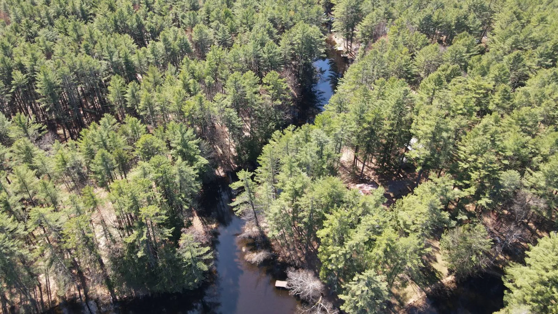 Property at 7678 N Shore Rd, Glenfield, NY 13343 6