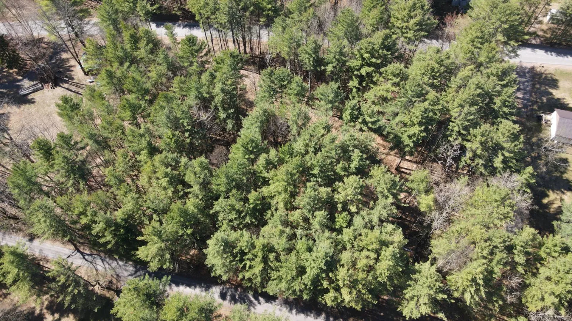 Property at 7678 N Shore Rd, Glenfield, NY 13343 7