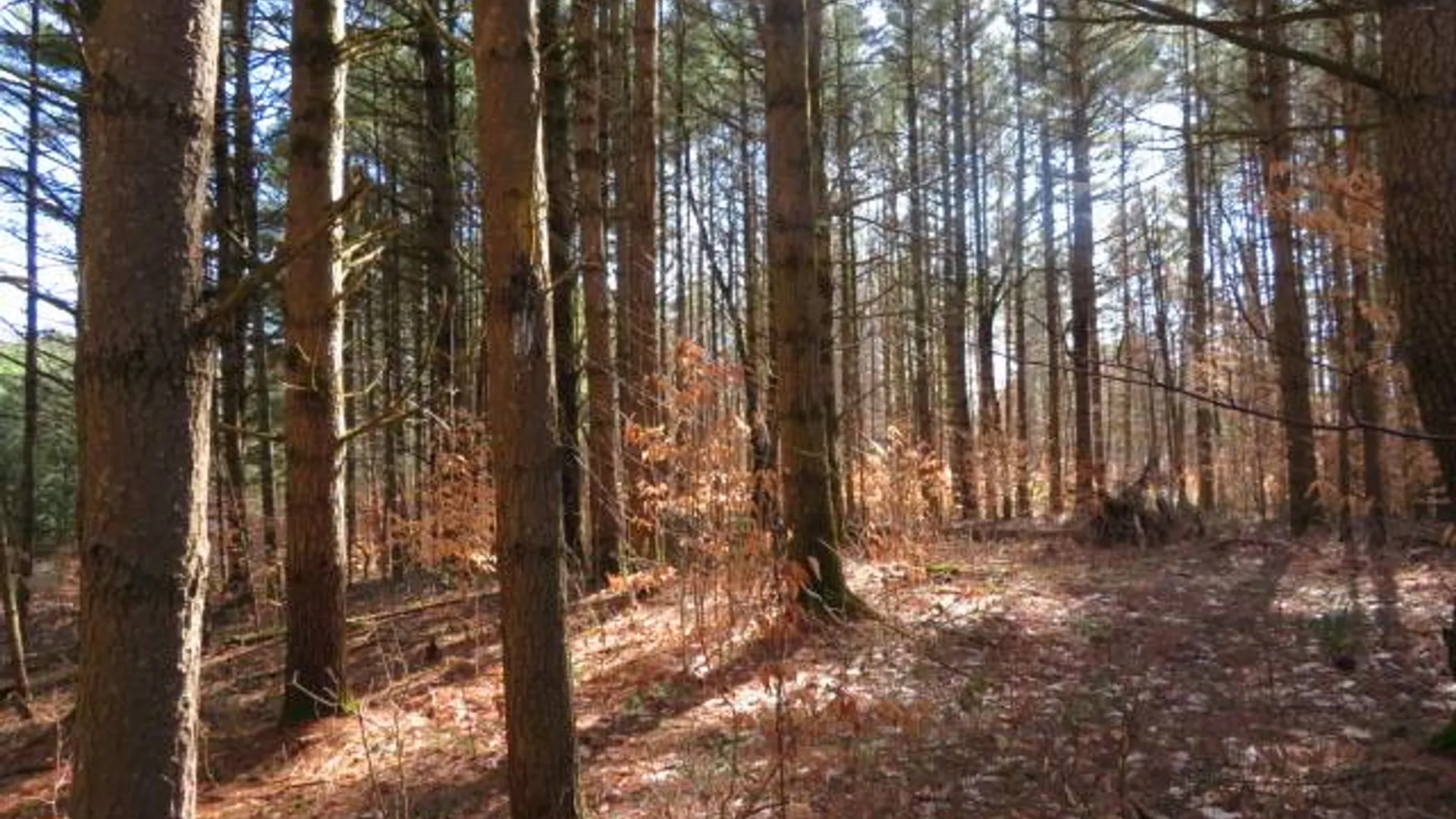 Property at 0 MCPHILMY RD, Glenfield, NY 13343 2