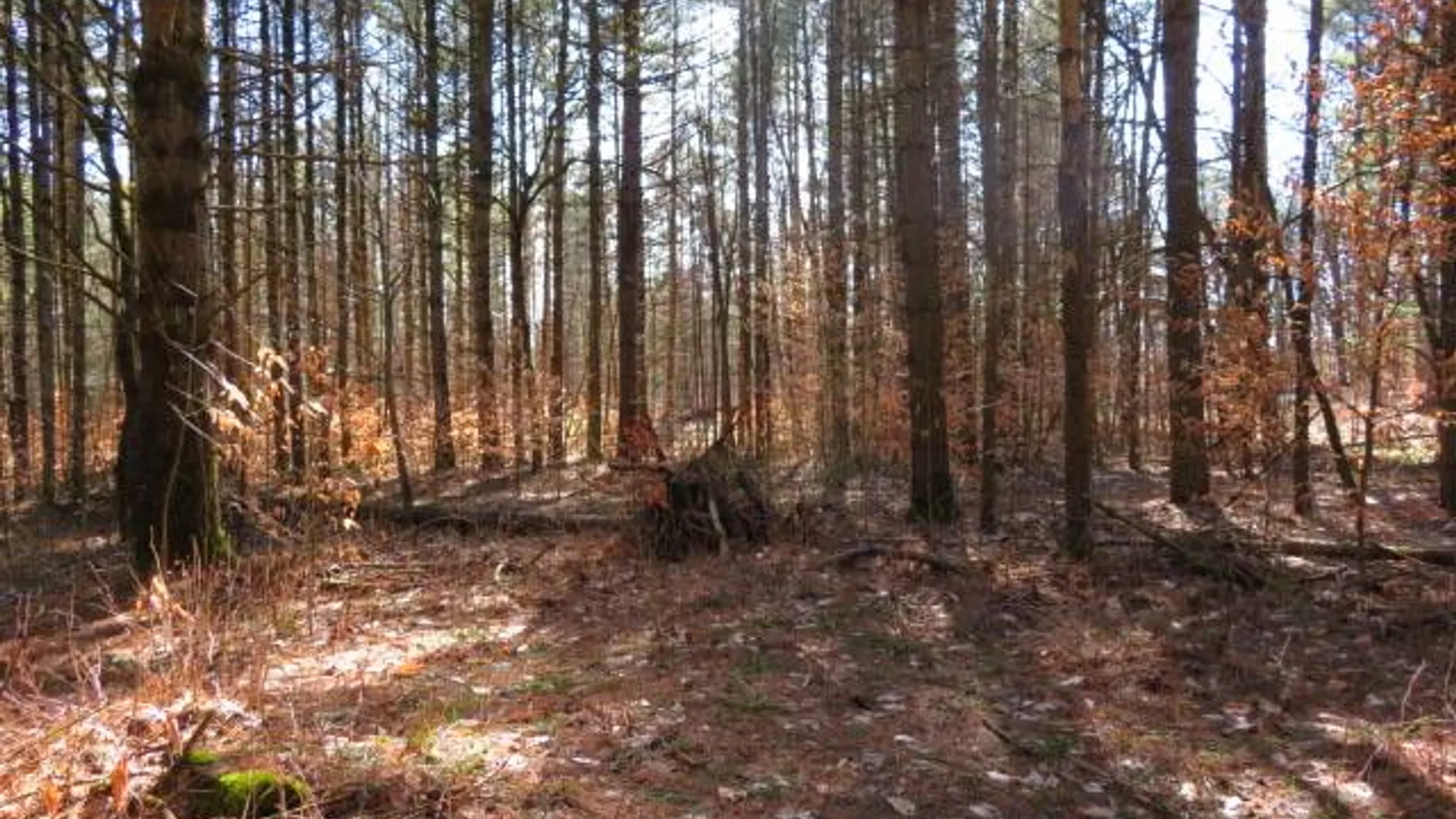 Property at 0 MCPHILMY RD, Glenfield, NY 13343 3