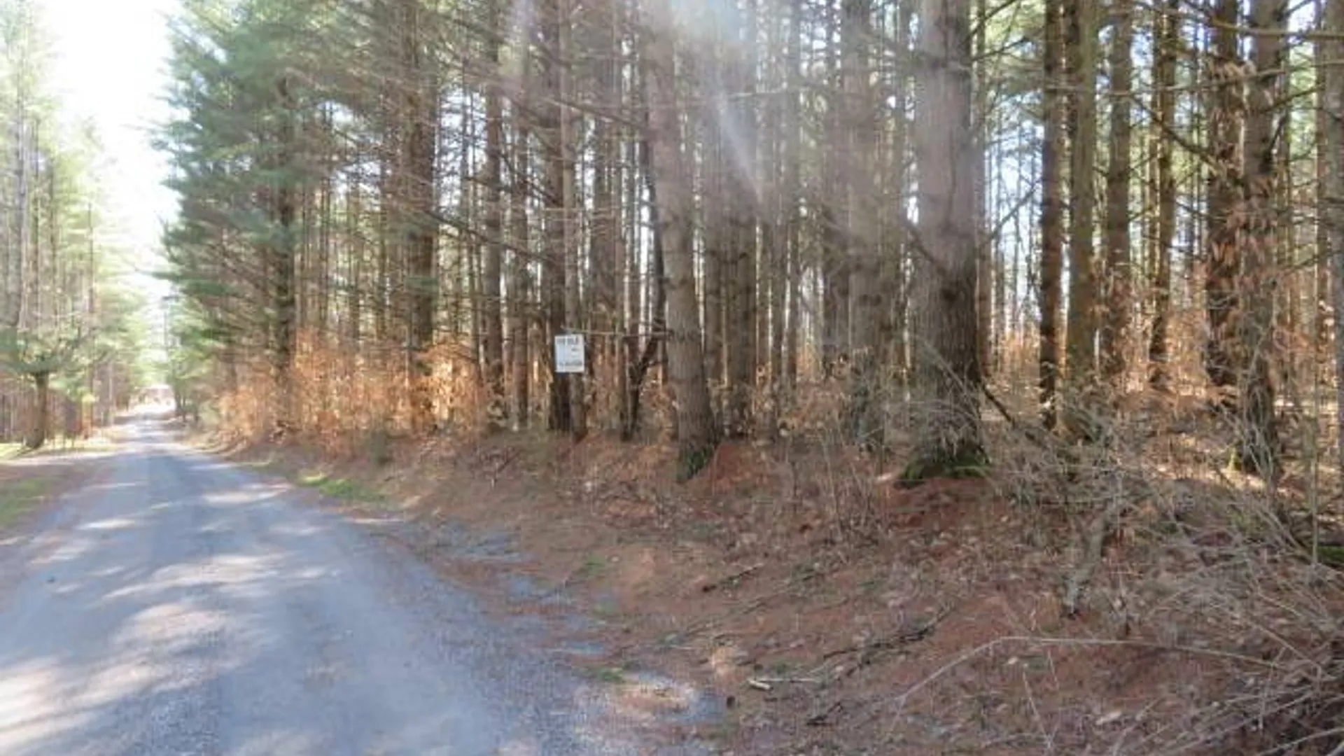 Property at 0 MCPHILMY RD, Glenfield, NY 13343 6