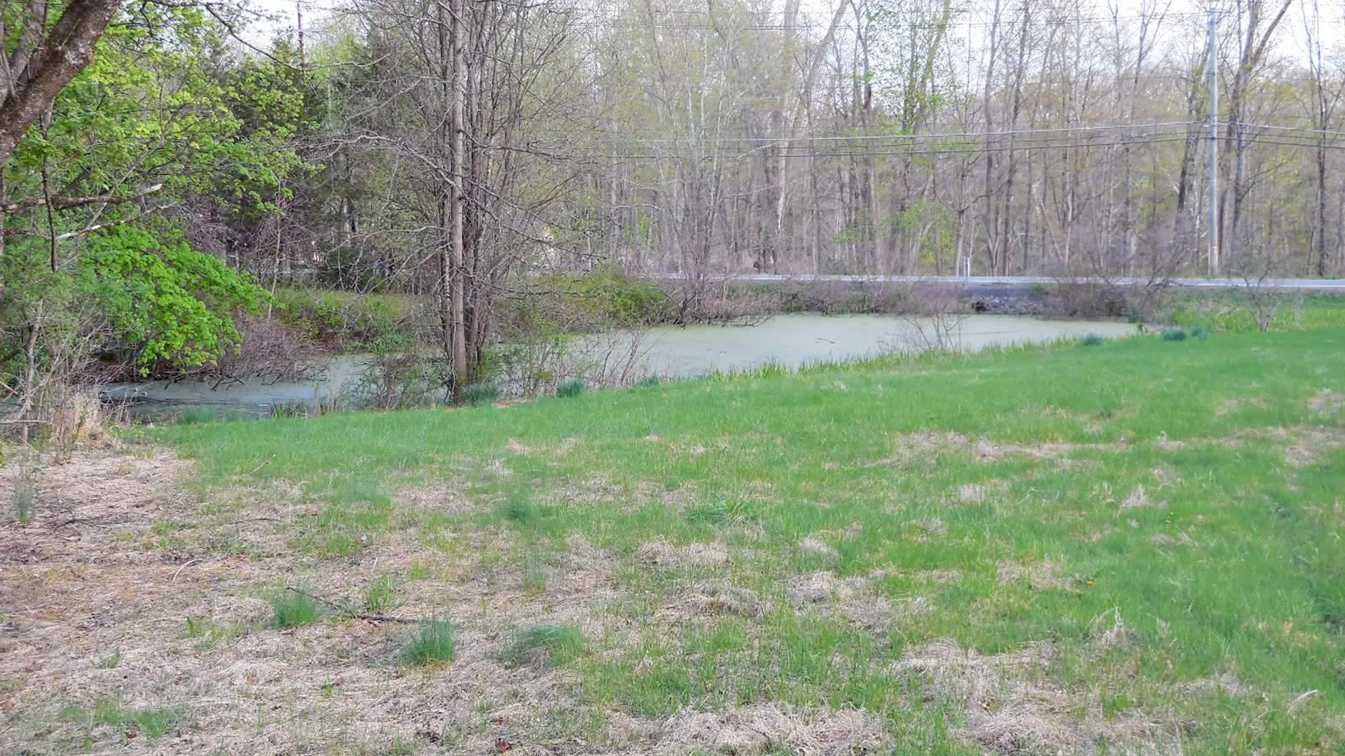 Property at 617 Burlingham Road, Bloomingburg, NY 12721 37
