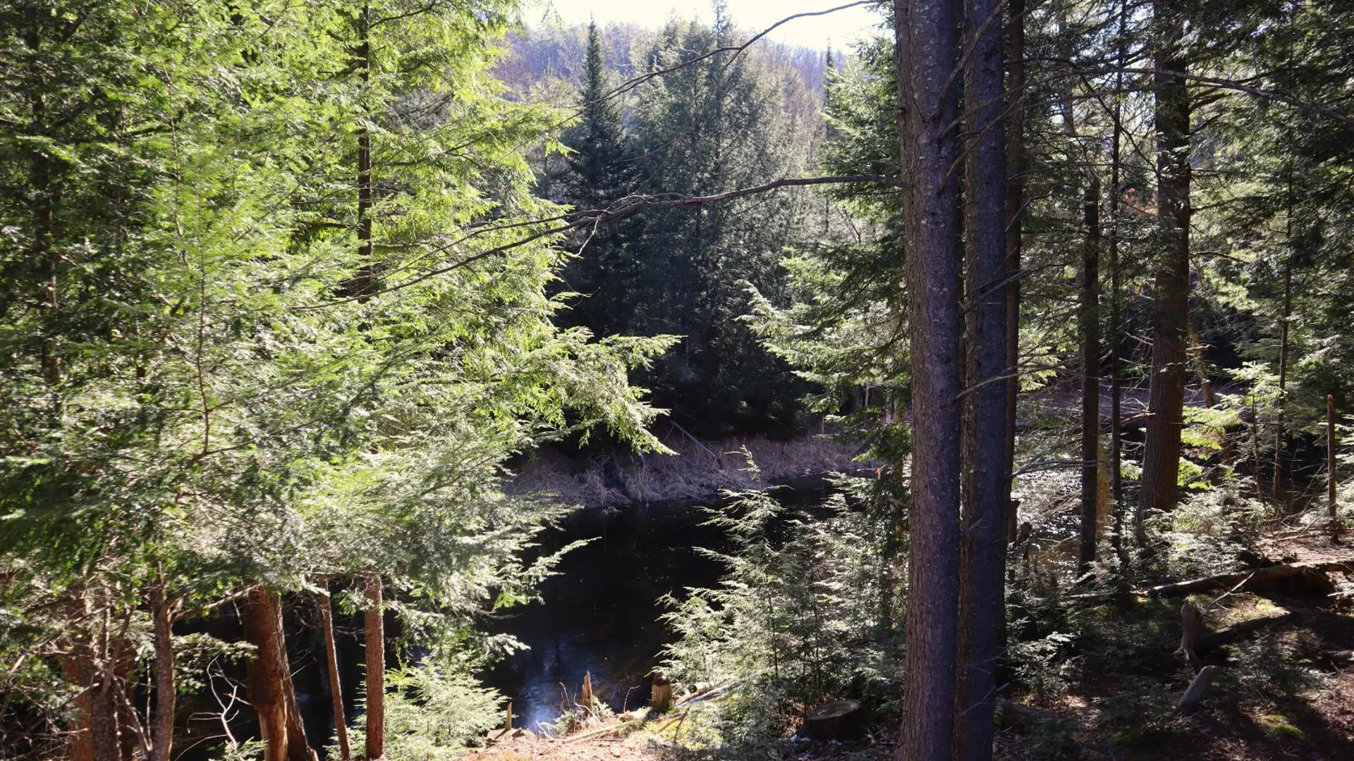 Property at 825 Glen-Athol Rd, Warrensburg, NY 12885 11