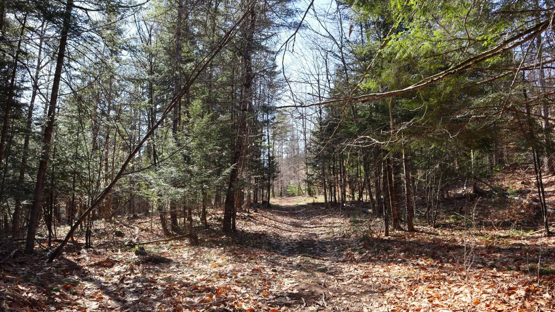 Property at 825 Glen-Athol Rd, Warrensburg, NY 12885 13