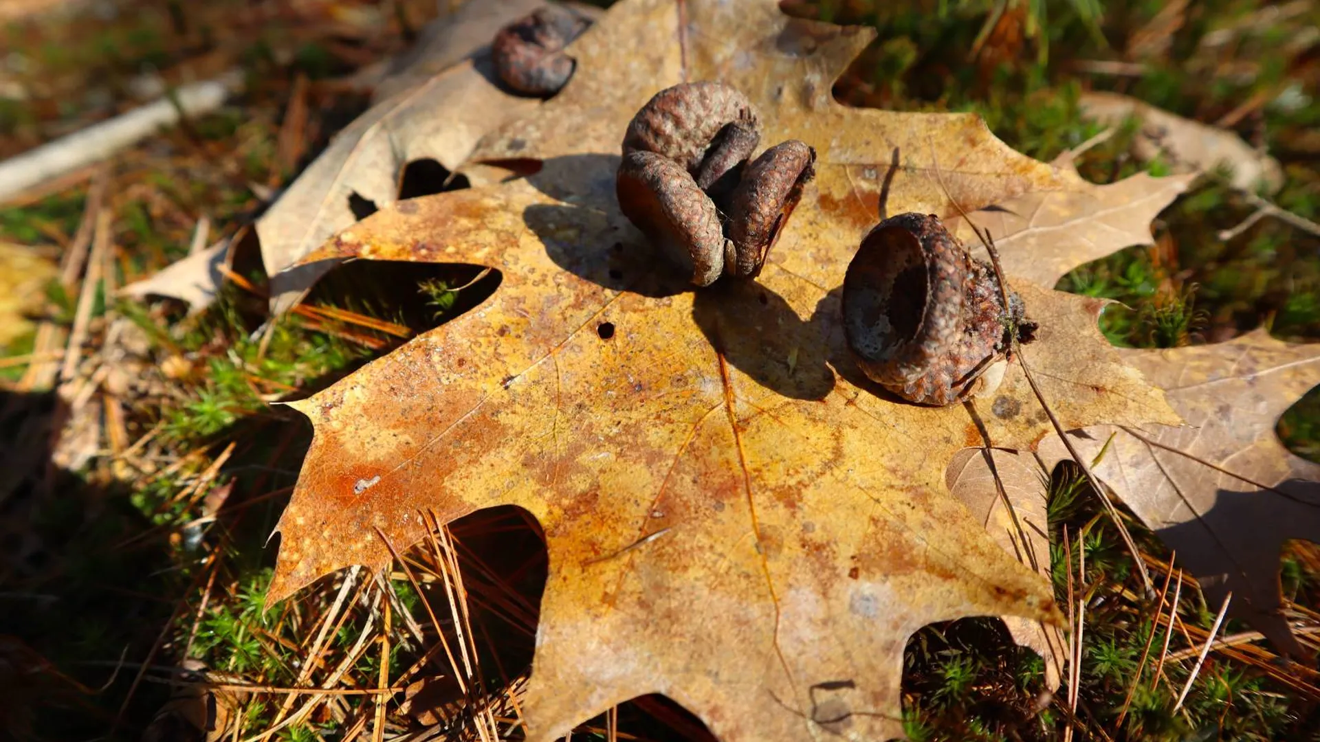 Property at 825 Glen-Athol Rd, Warrensburg, NY 12885 14