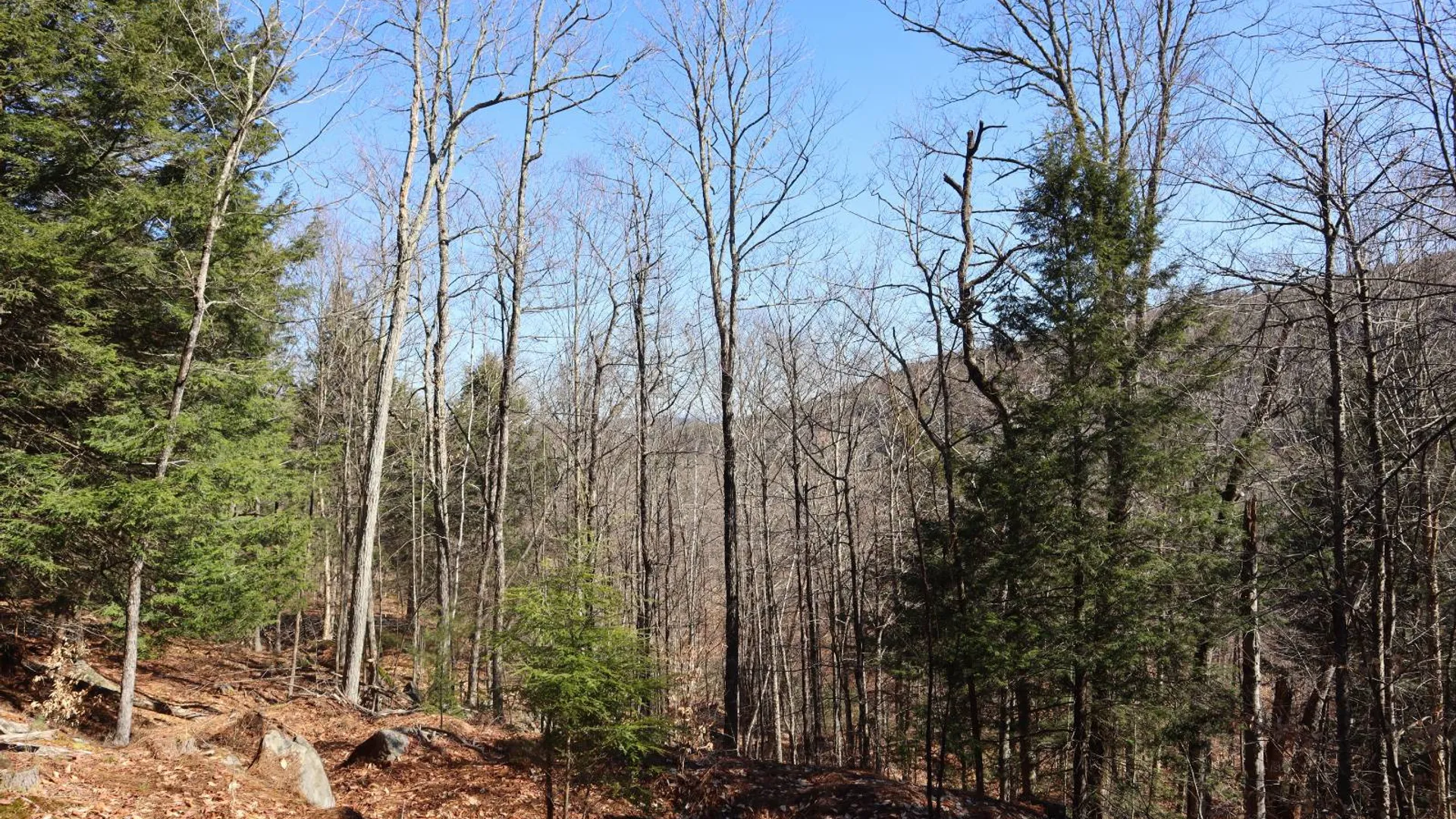 Property at 825 Glen-Athol Rd, Warrensburg, NY 12885 16