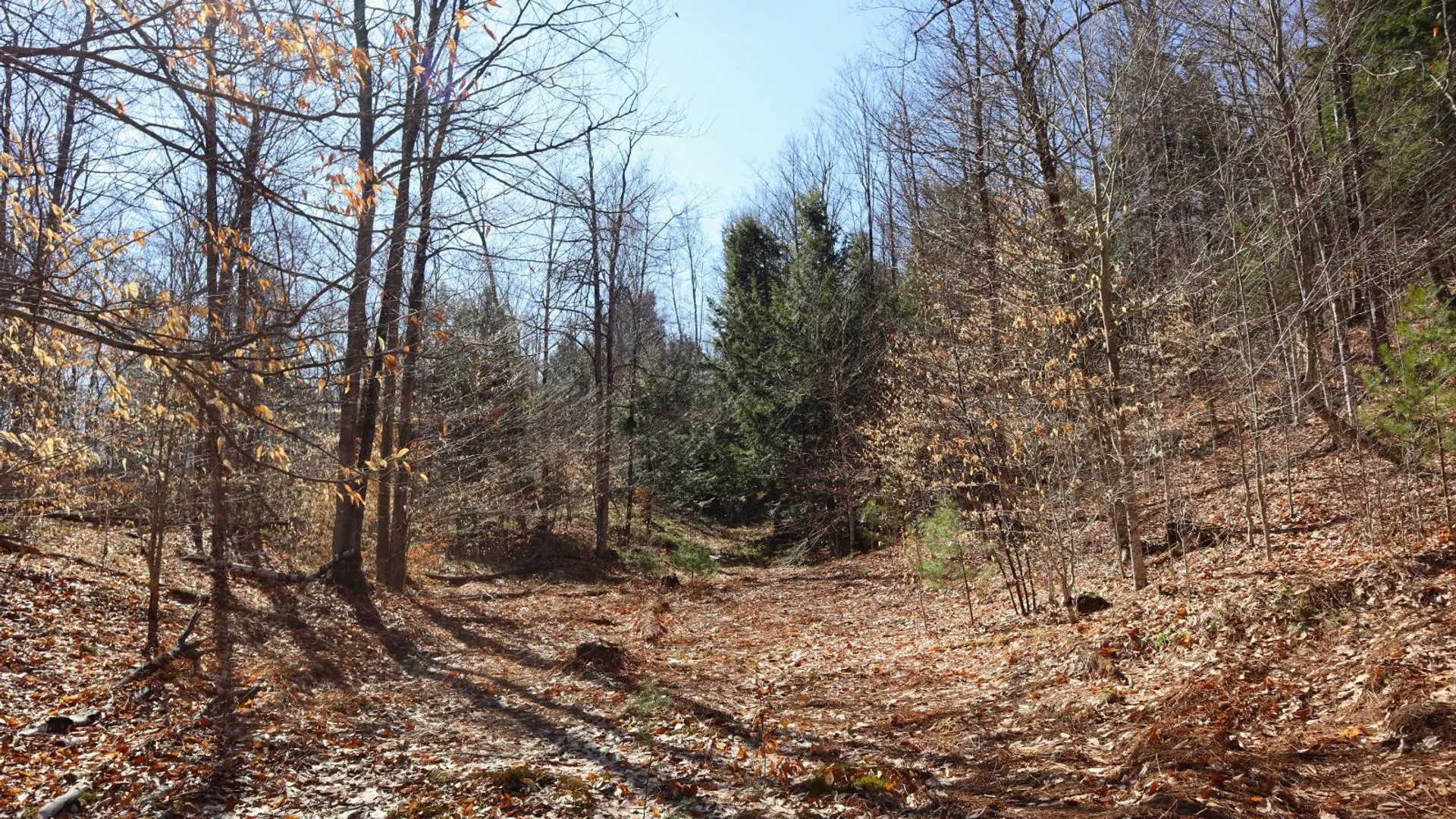 Property at 825 Glen-Athol Rd, Warrensburg, NY 12885 18