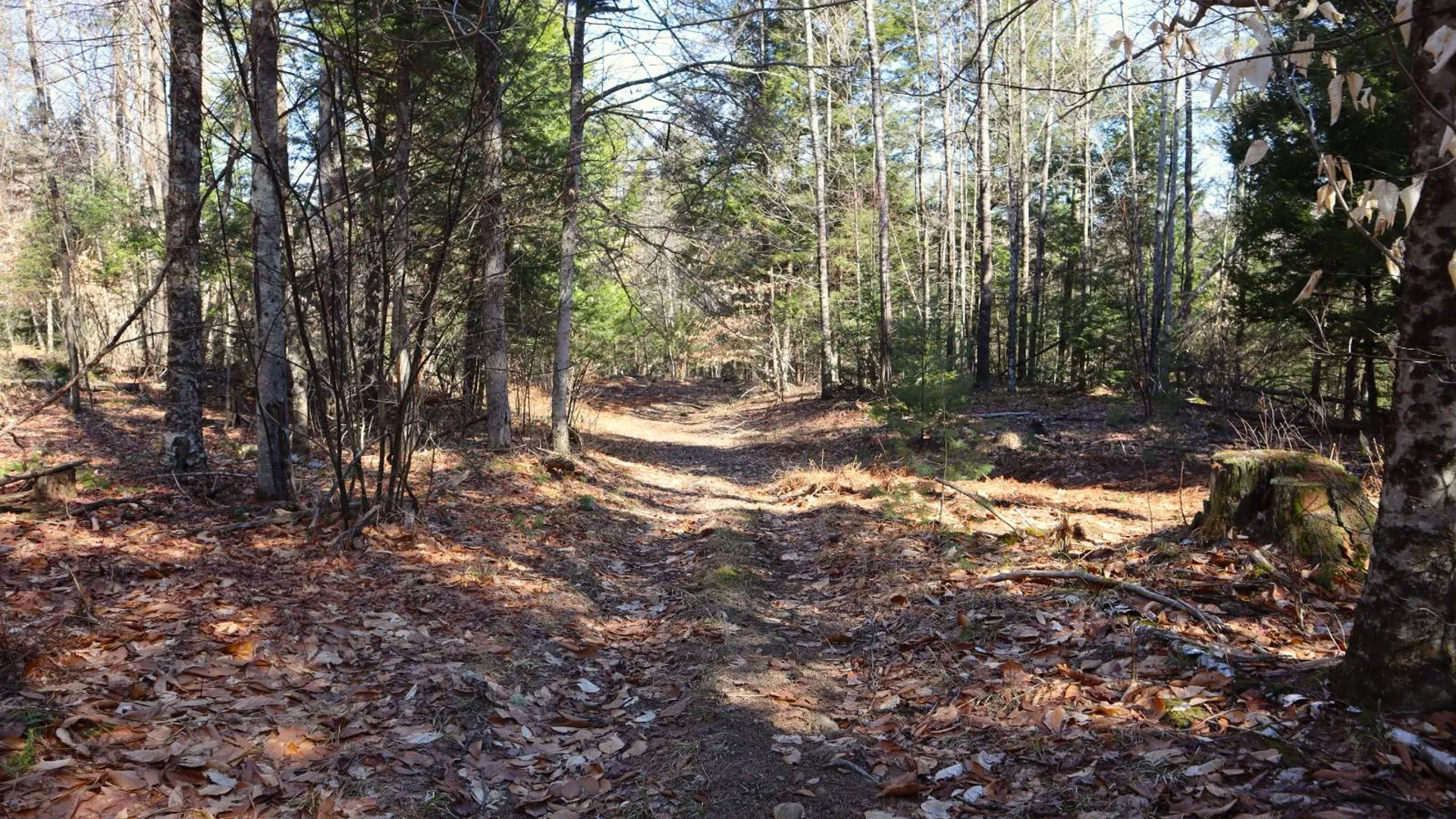 Property at 825 Glen-Athol Rd, Warrensburg, NY 12885 22