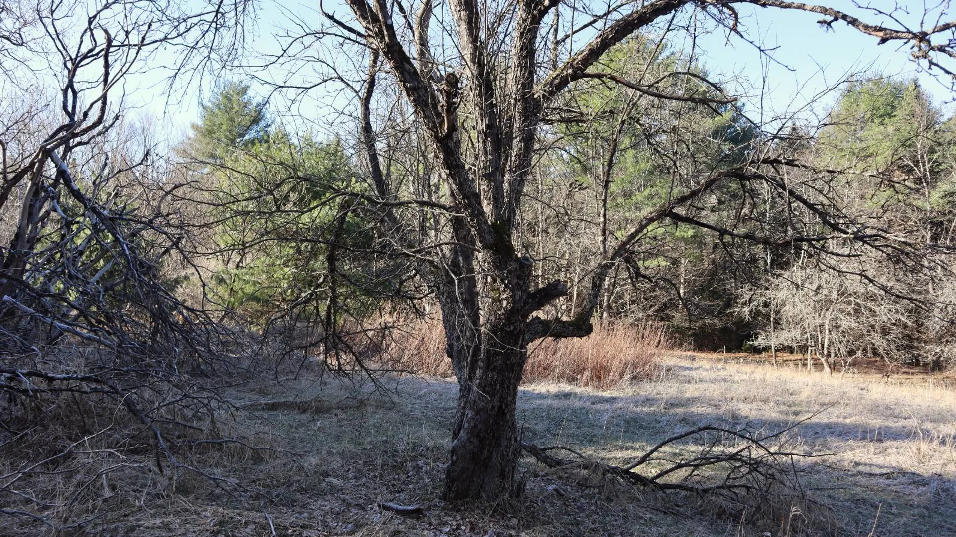 Property at 825 Glen-Athol Rd, Warrensburg, NY 12885 37