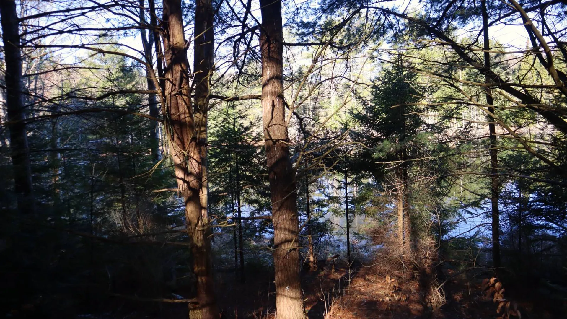 Property at 825 Glen-Athol Rd, Warrensburg, NY 12885 39