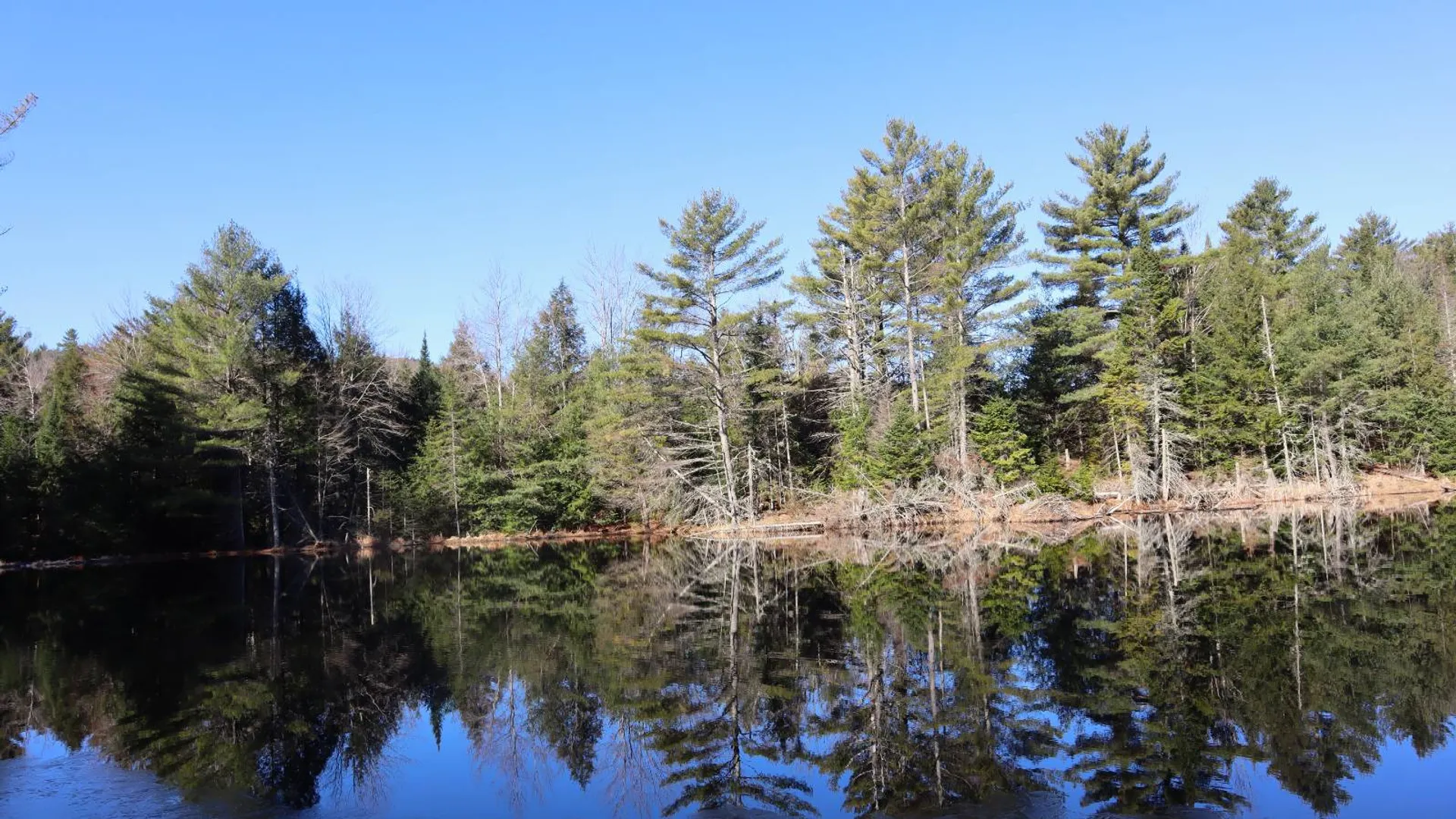 Property at 825 Glen-Athol Rd, Warrensburg, NY 12885 40