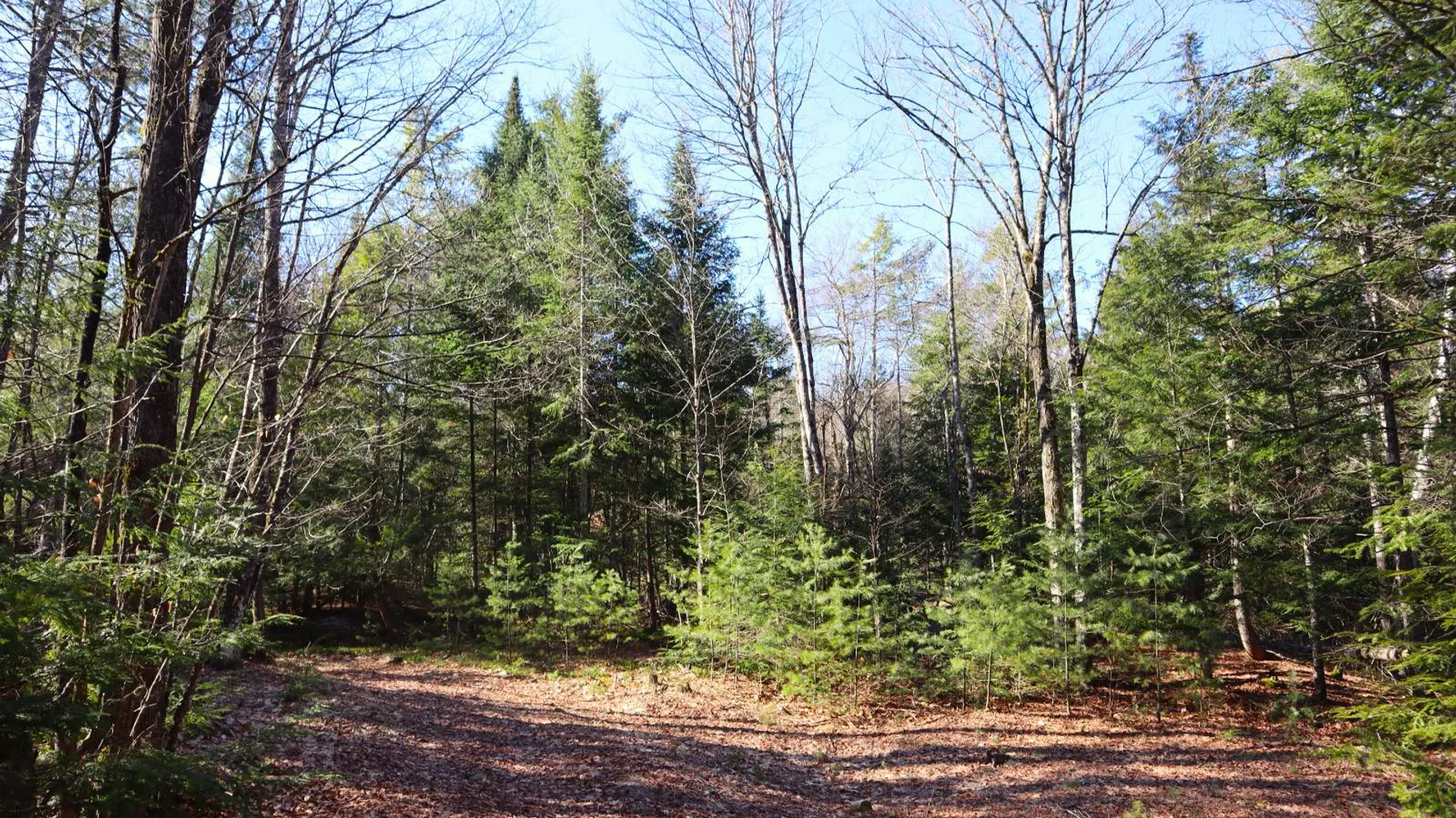 Property at 825 Glen-Athol Rd, Warrensburg, NY 12885 41