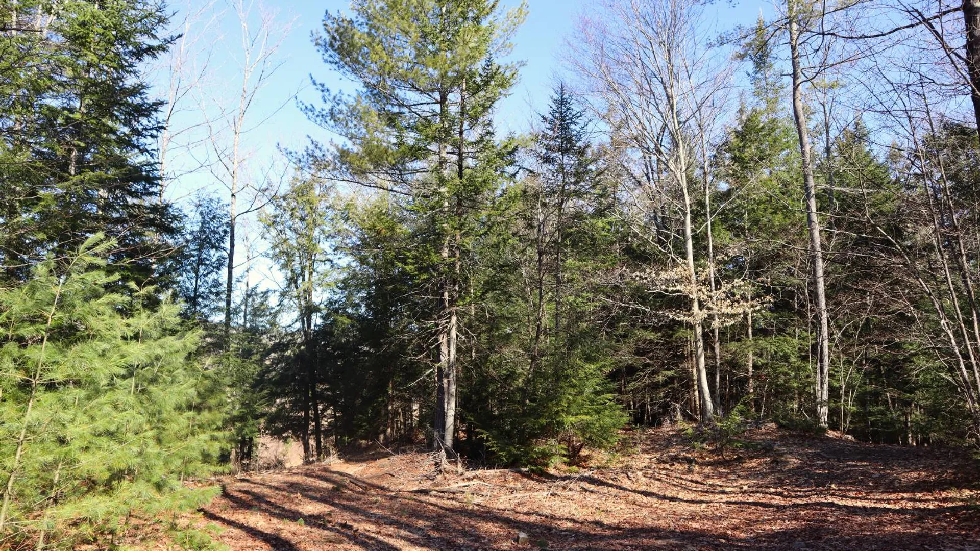 Property at 825 Glen-Athol Rd, Warrensburg, NY 12885 43