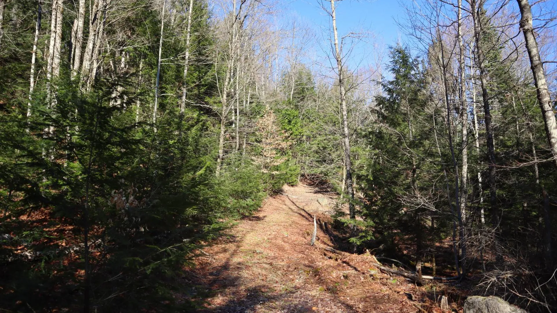 Property at 825 Glen-Athol Rd, Warrensburg, NY 12885 45