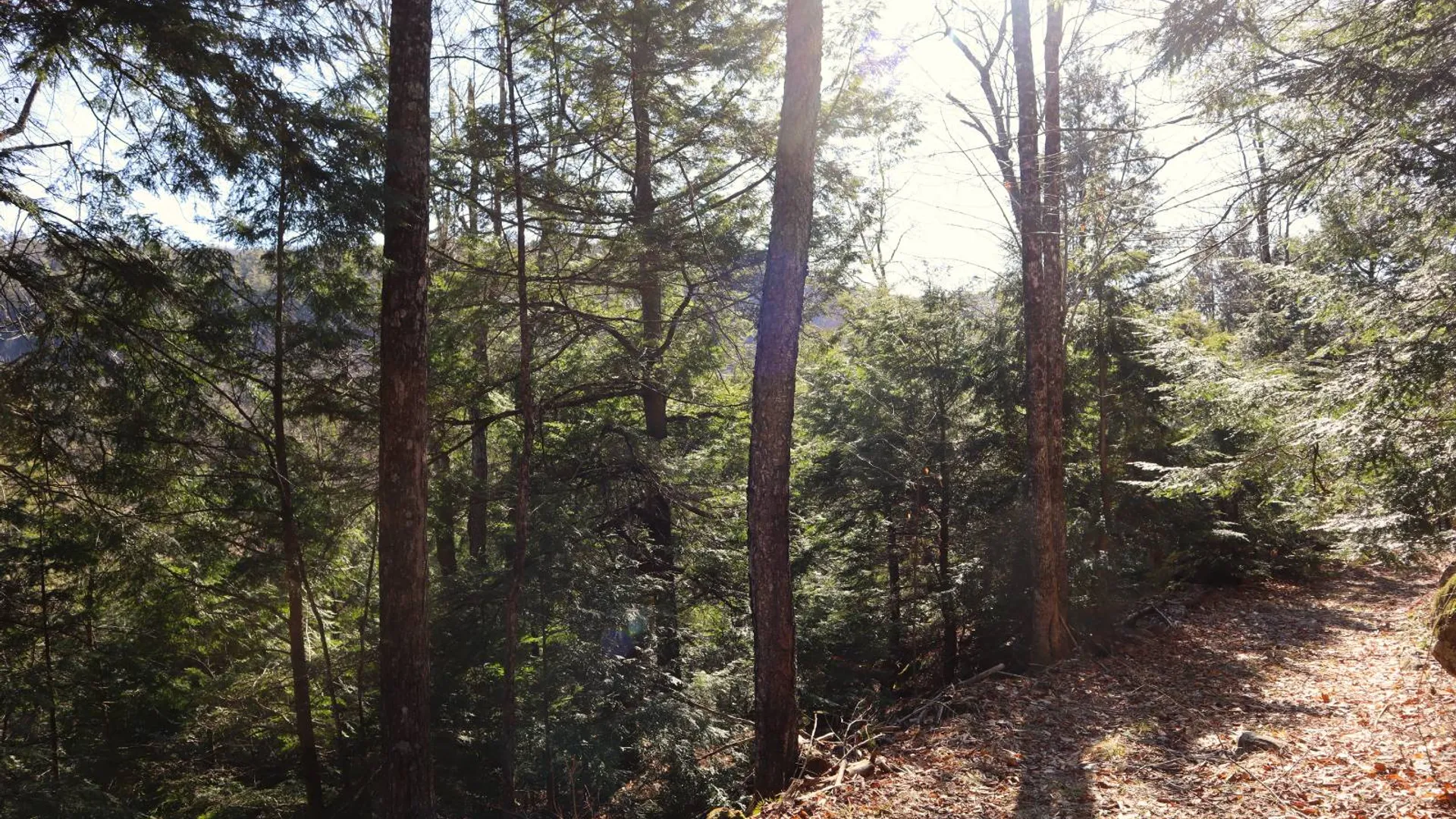 Property at 825 Glen-Athol Rd, Warrensburg, NY 12885 47