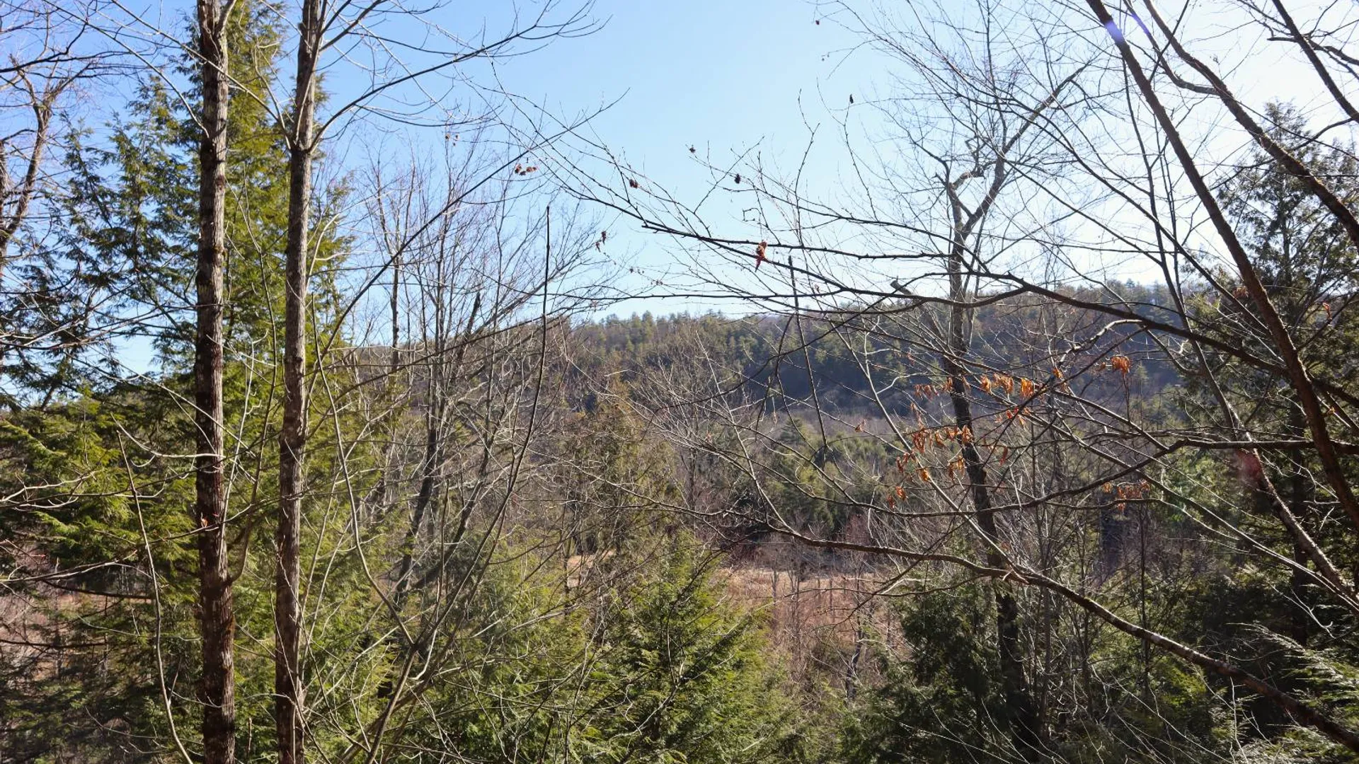 Property at 825 Glen-Athol Rd, Warrensburg, NY 12885 48