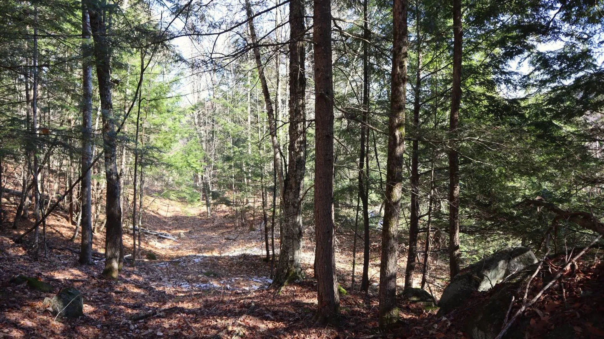 Property at 825 Glen-Athol Rd, Warrensburg, NY 12885 49