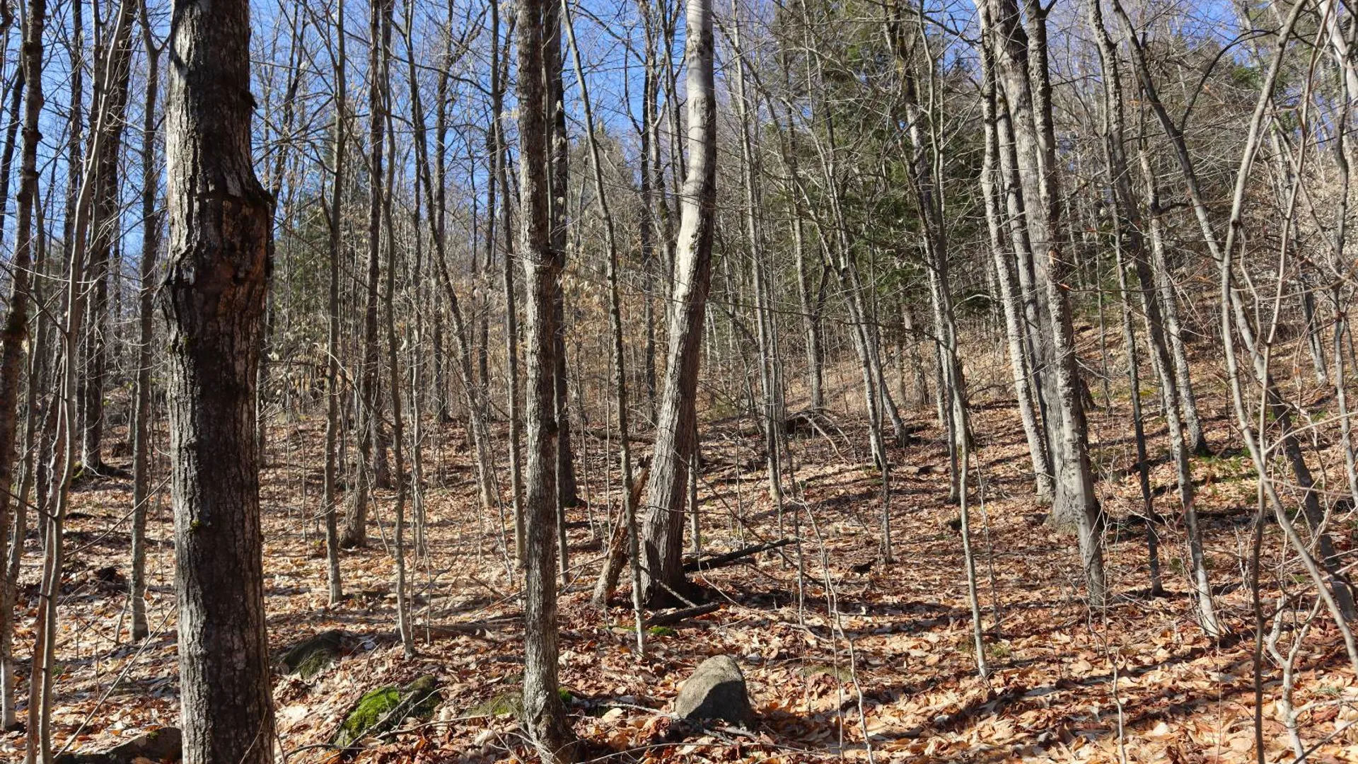 Property at 825 Glen-Athol Rd, Warrensburg, NY 12885 50