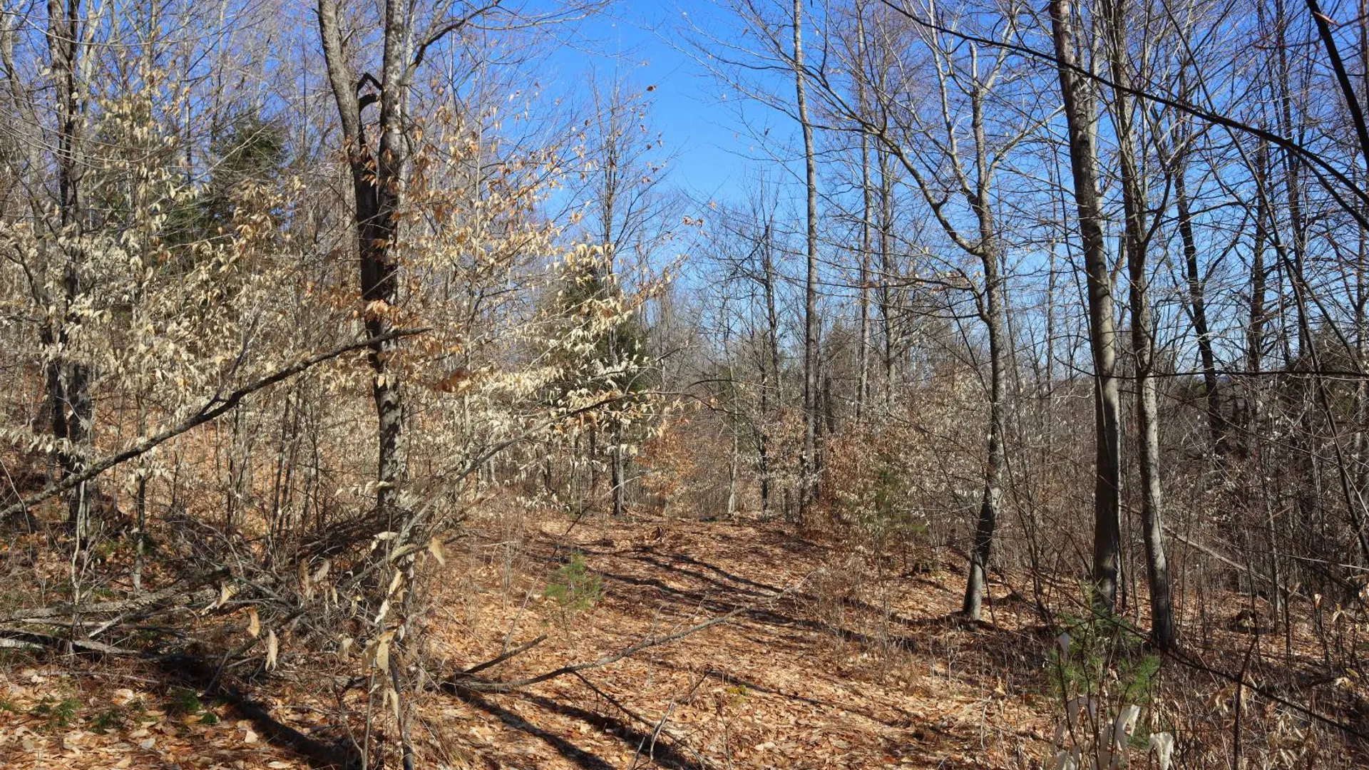 Property at 825 Glen-Athol Rd, Warrensburg, NY 12885 51