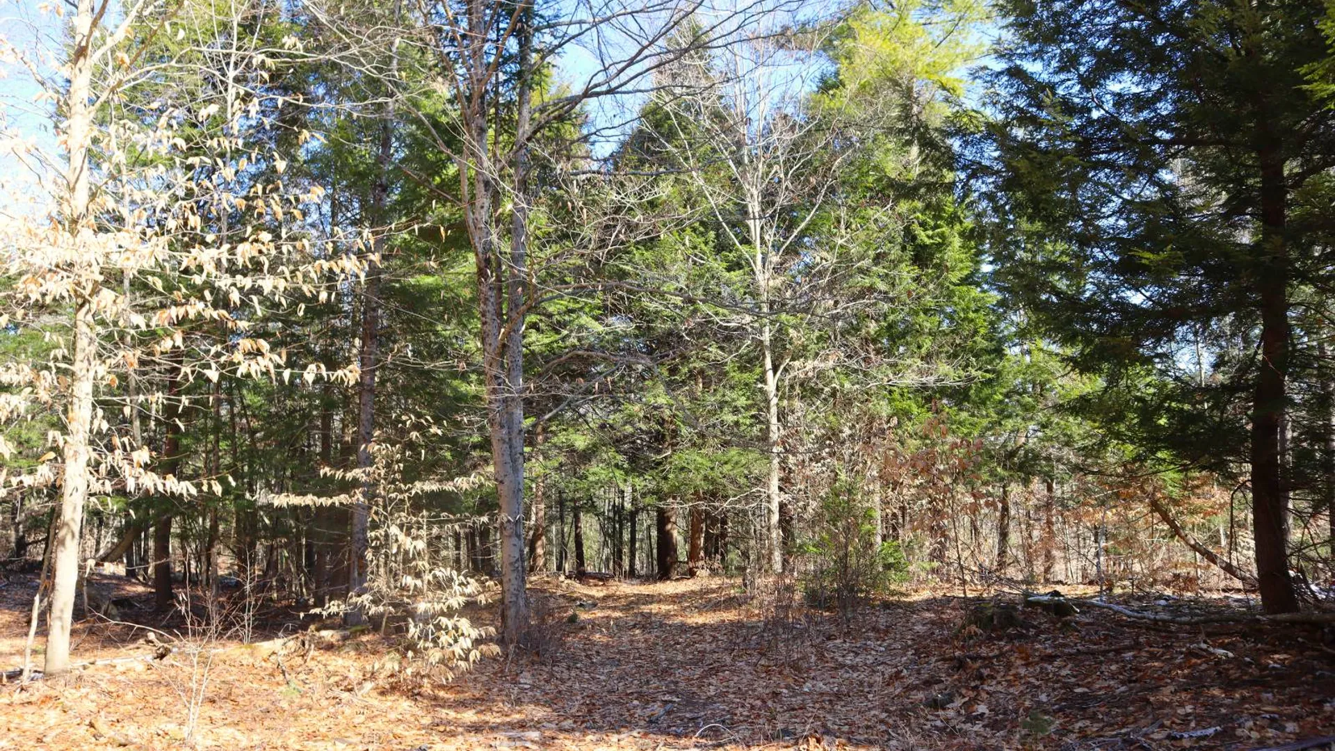 Property at 825 Glen-Athol Rd, Warrensburg, NY 12885 52